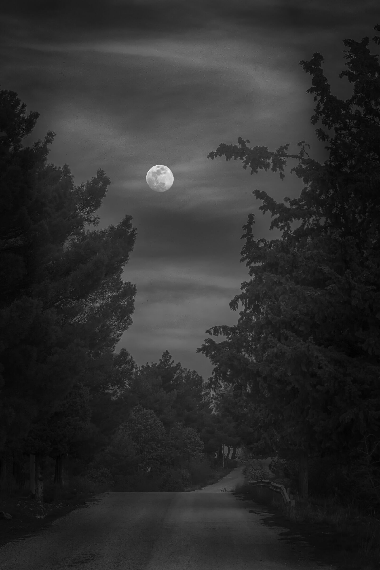 Tamron SP 24-70mm F2.8 Di VC USD sample photo. Moon, bw, atmosphere photography