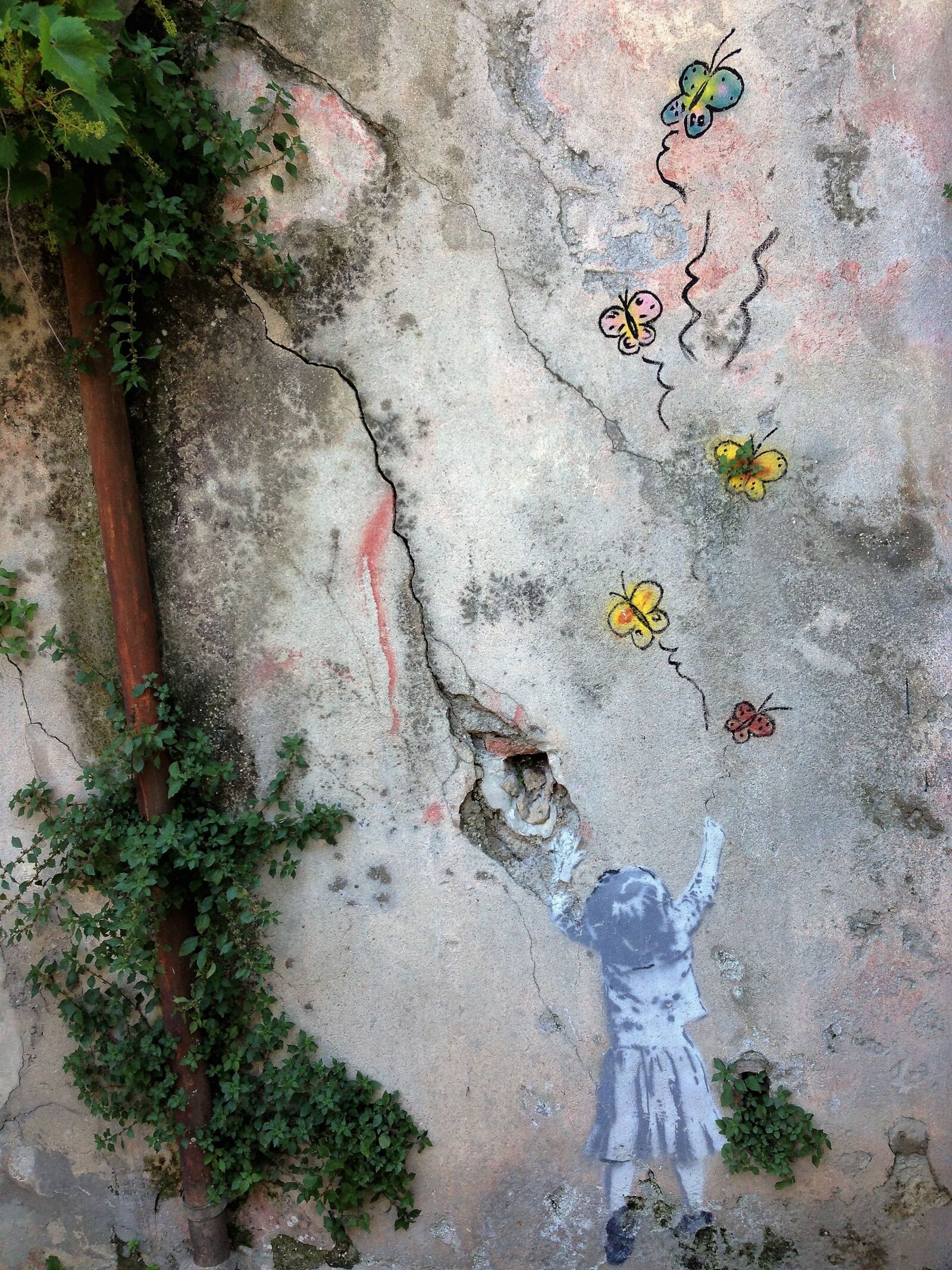 Apple iPhone 5 sample photo. Mural, butterflies, drawing photography