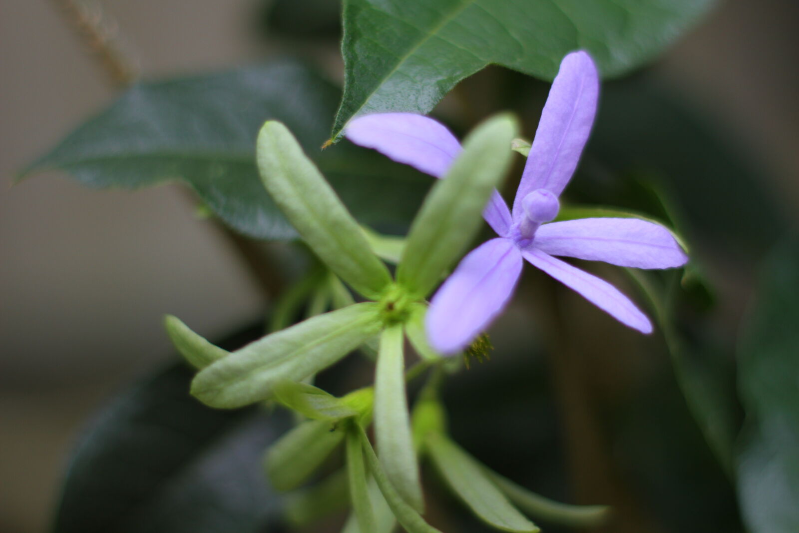 Canon EOS 7D sample photo
