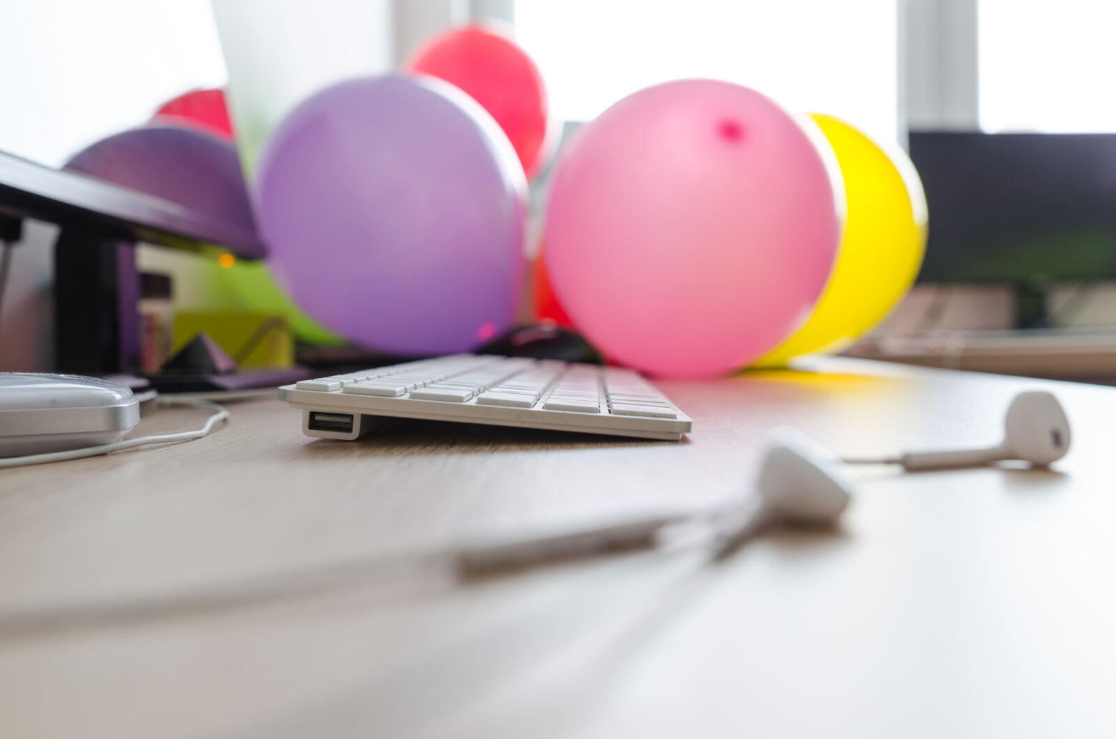 Nikon D5100 sample photo. Above, background, blank, business photography