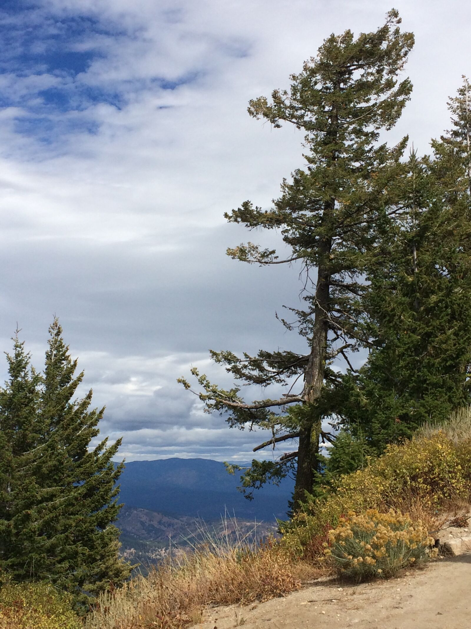 iPhone 5s back camera 4.15mm f/2.2 sample photo. Landscape, nature, tree photography