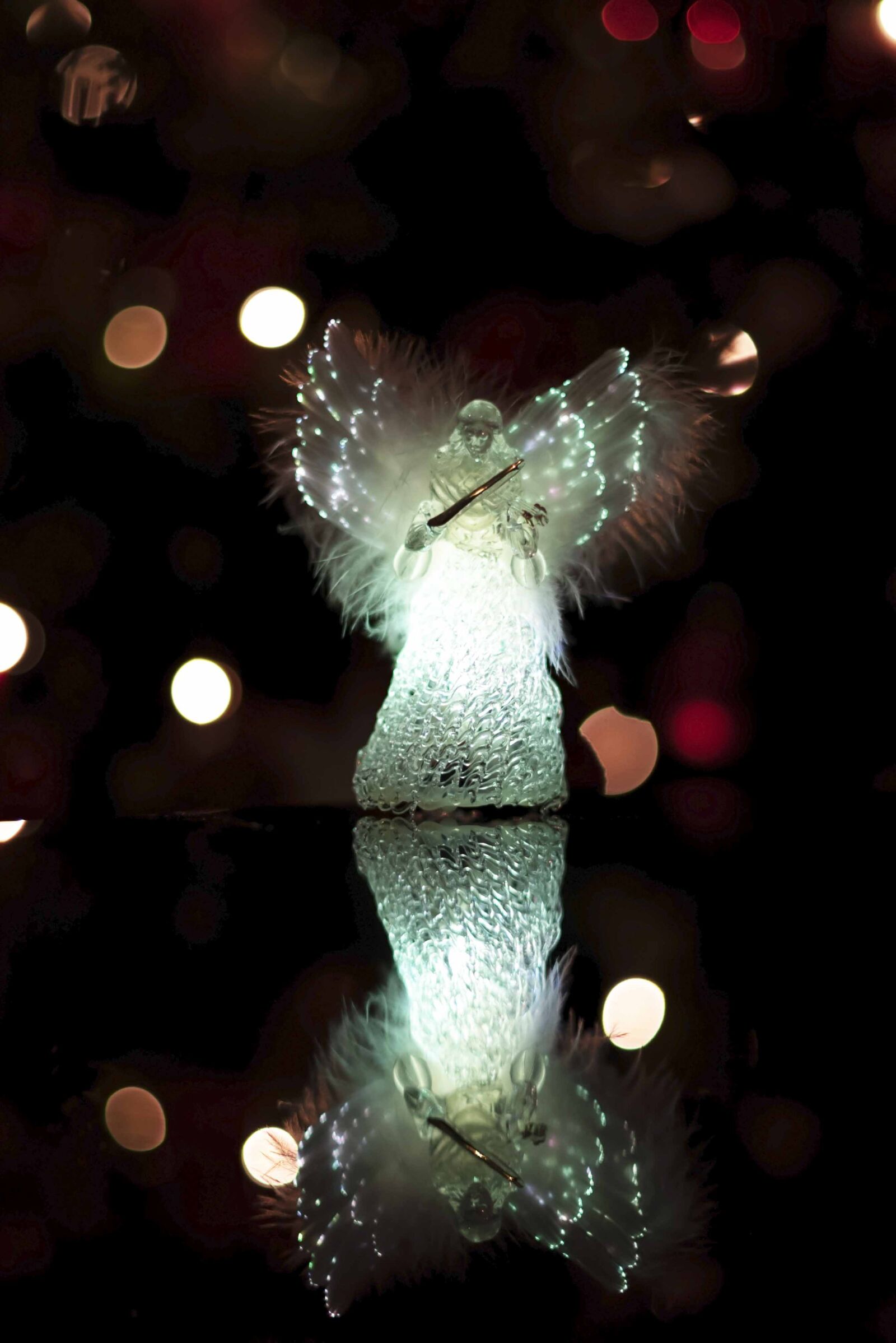Nikon D750 sample photo. Christmas, lights, holiday photography