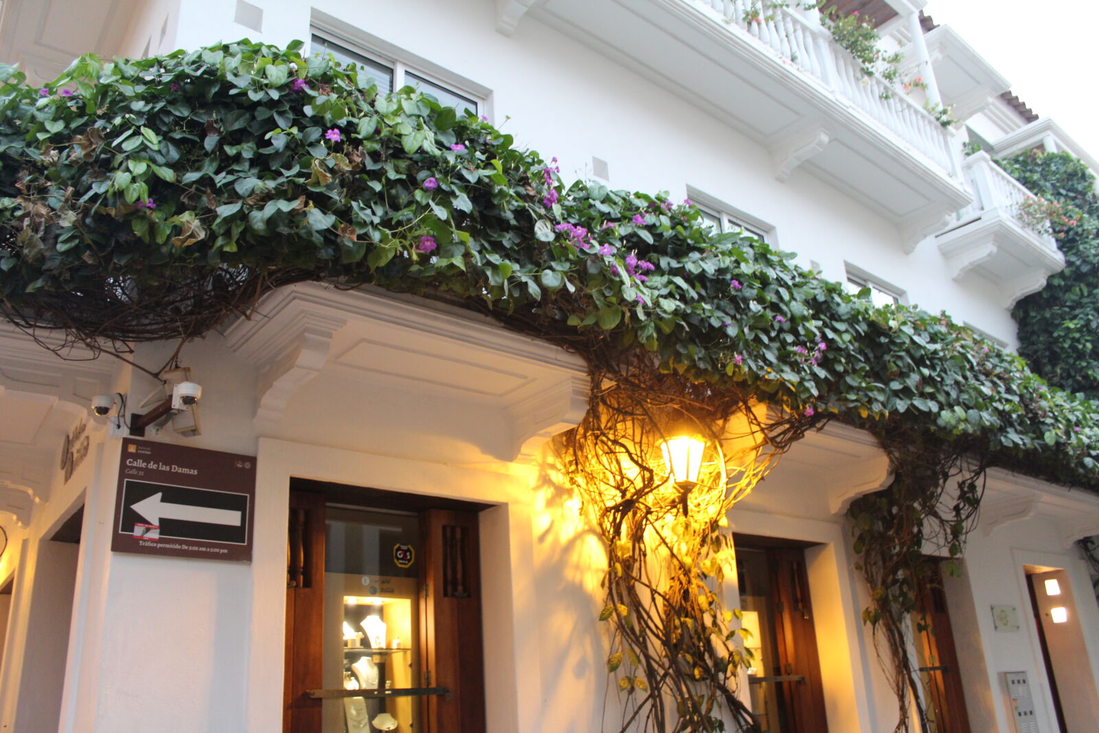 Canon EOS 1300D (EOS Rebel T6 / EOS Kiss X80) sample photo. Cartagena, flower, lamp, street photography