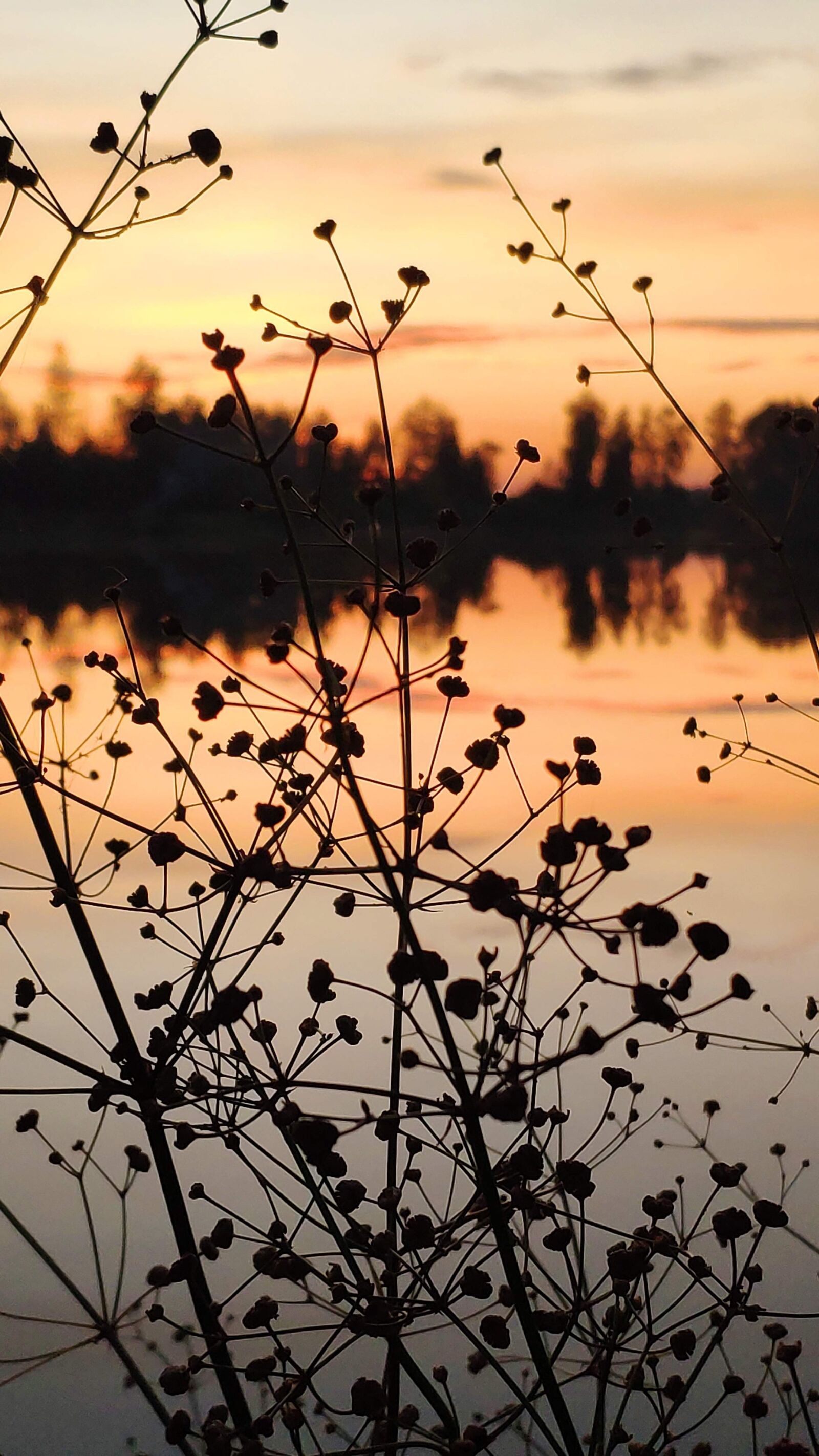 Xiaomi MI 8 sample photo. Nature, lake, sunset photography