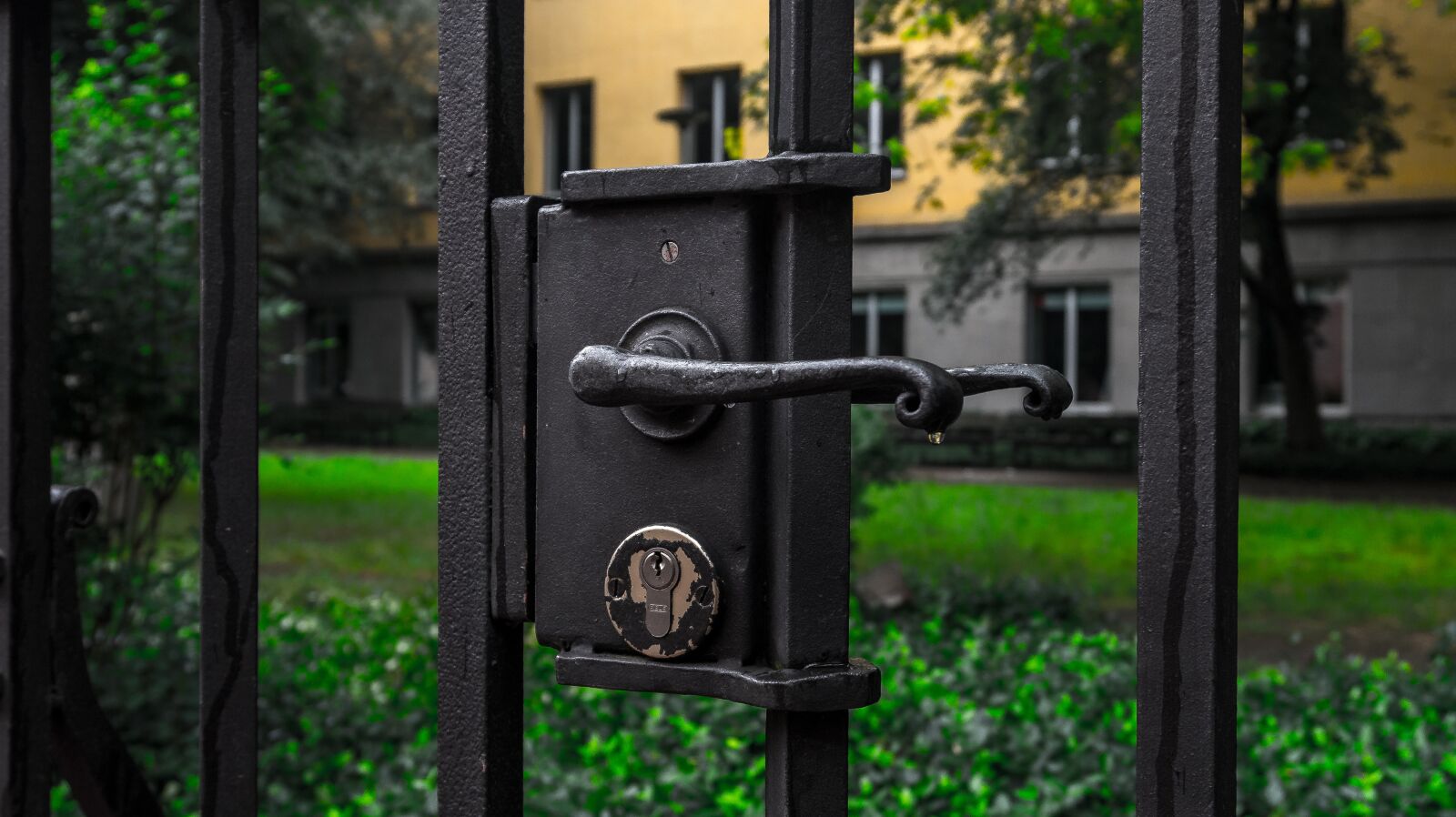 Sony Alpha a5000 (ILCE 5000) sample photo. Gate, fence, jack photography
