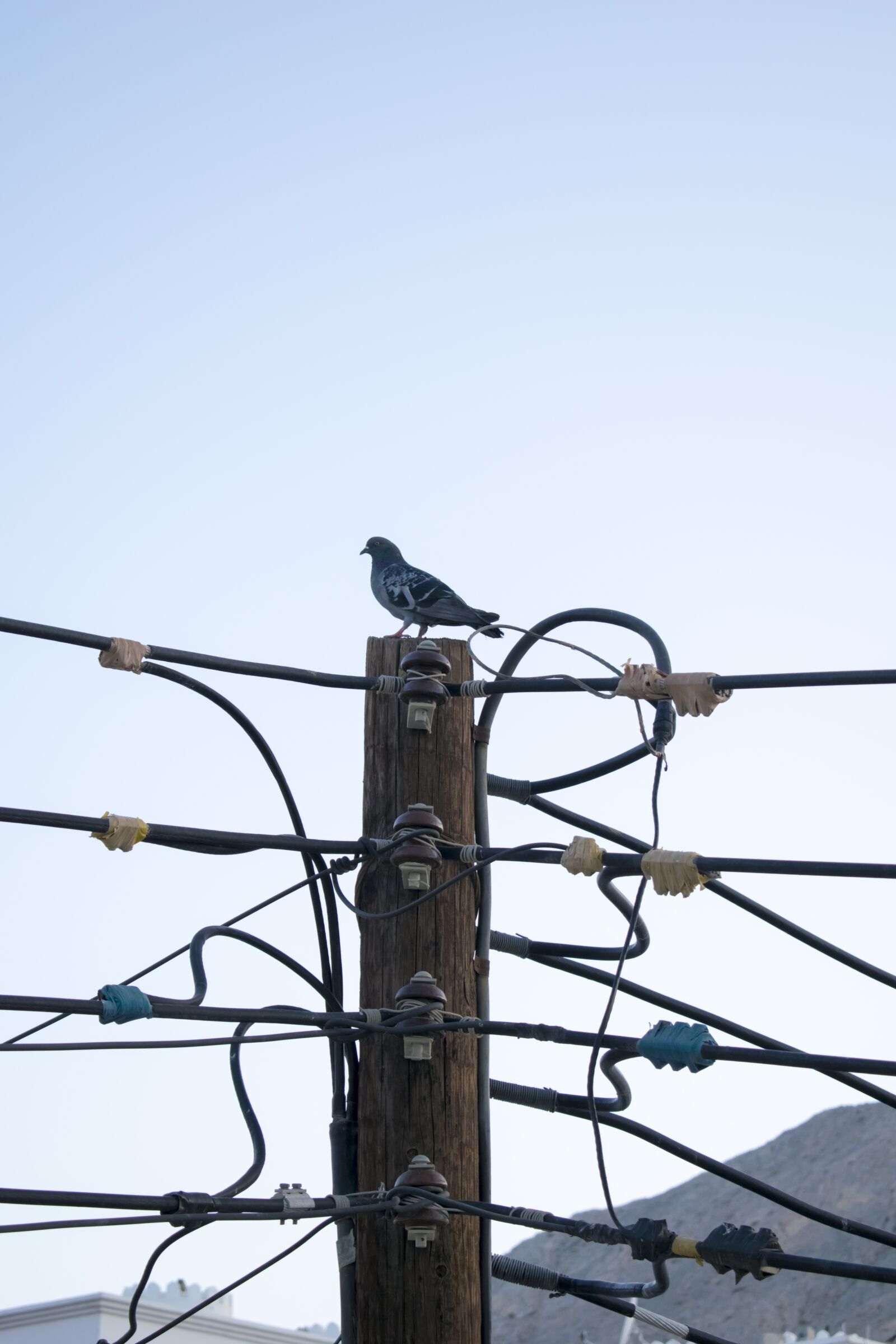 Nikon D3300 sample photo. Electric post, wooden post photography