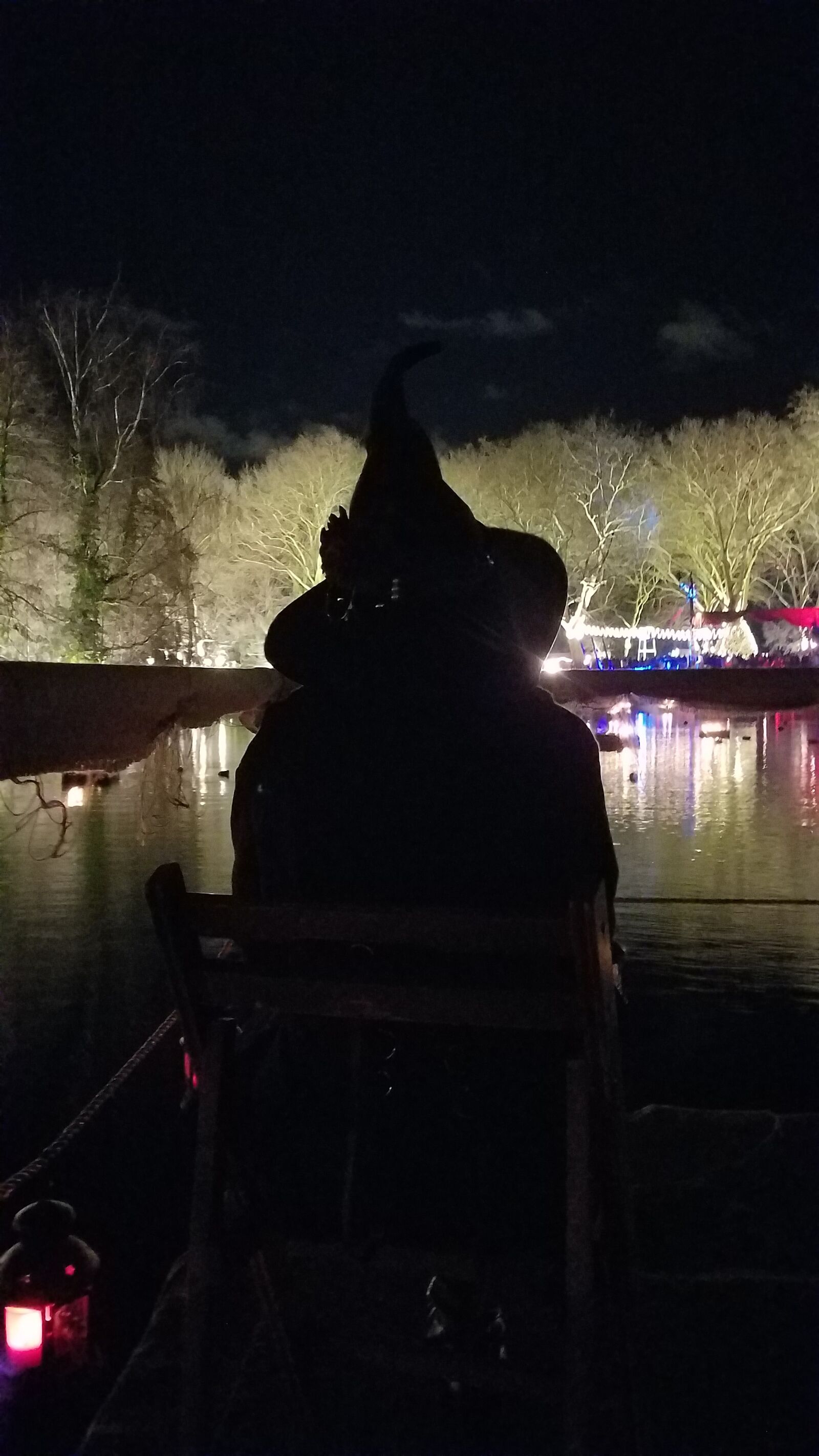 Samsung Galaxy S7 sample photo. The witch, night, creepy photography