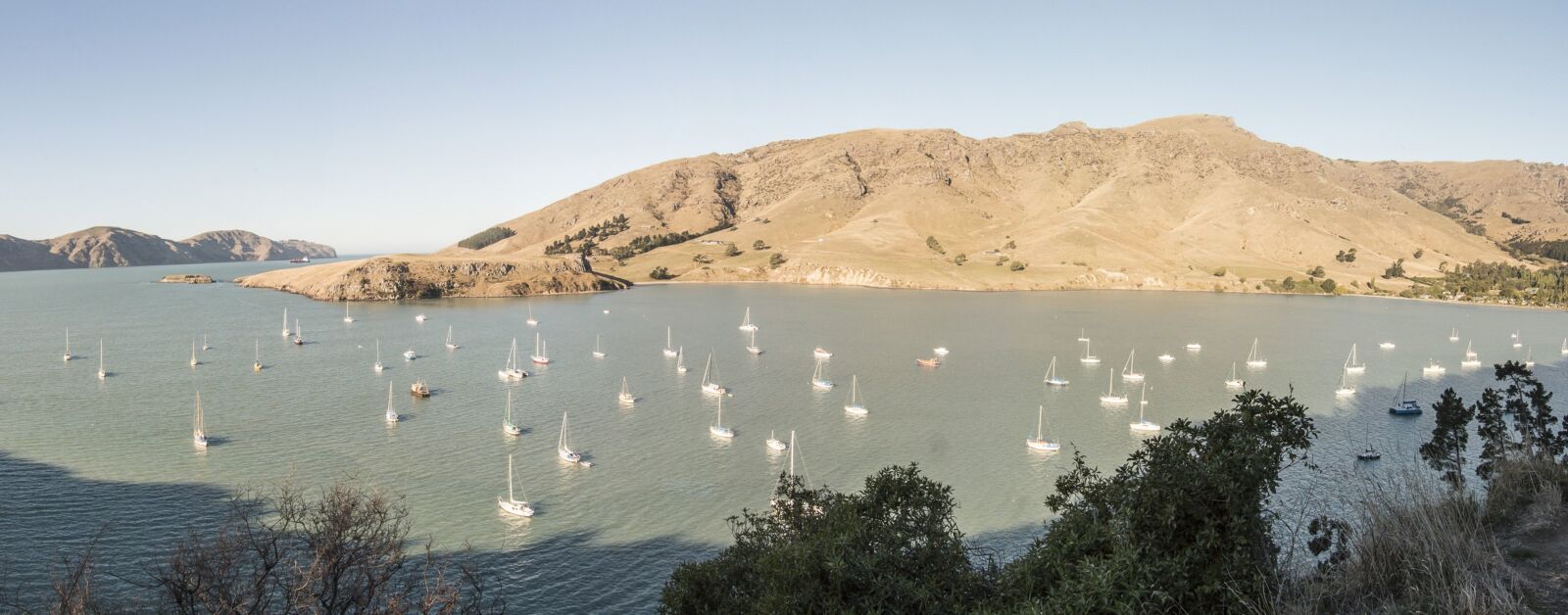 Canon EOS 70D sample photo. Lyttelton new zealand, sea photography