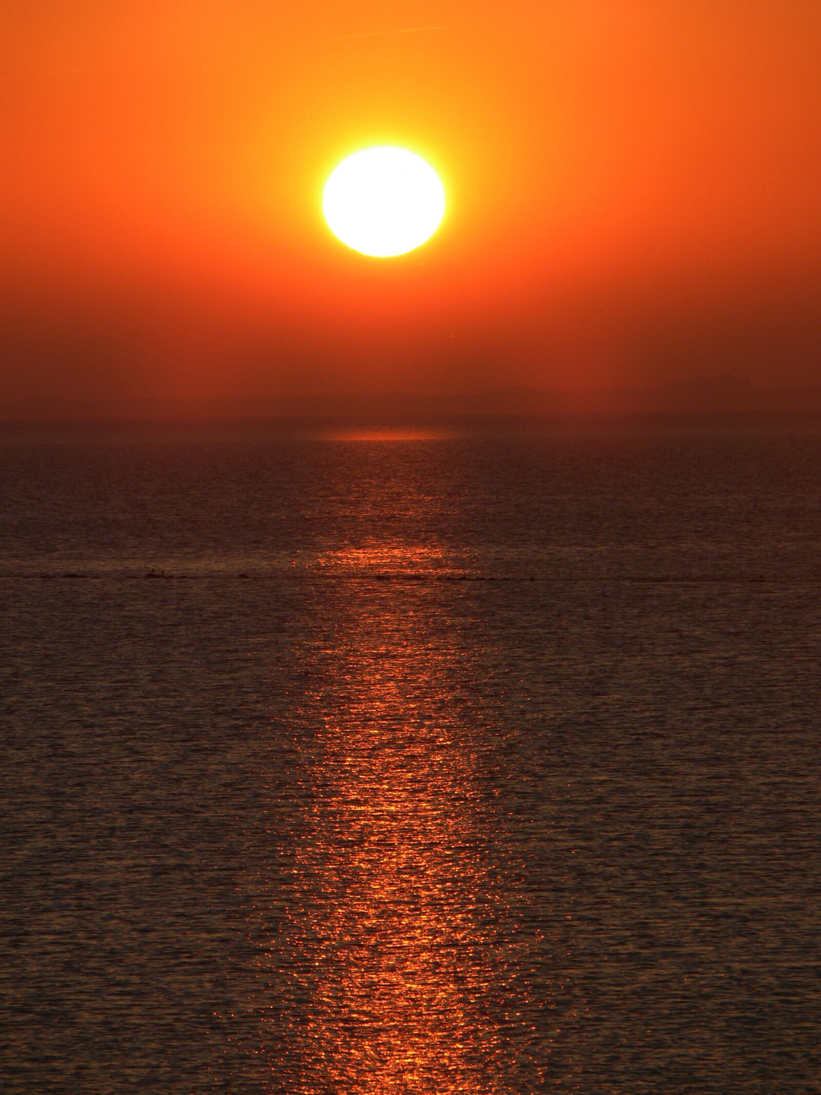 Panasonic DMC-FZ30 sample photo. Sunset, feeling, vitamin photography