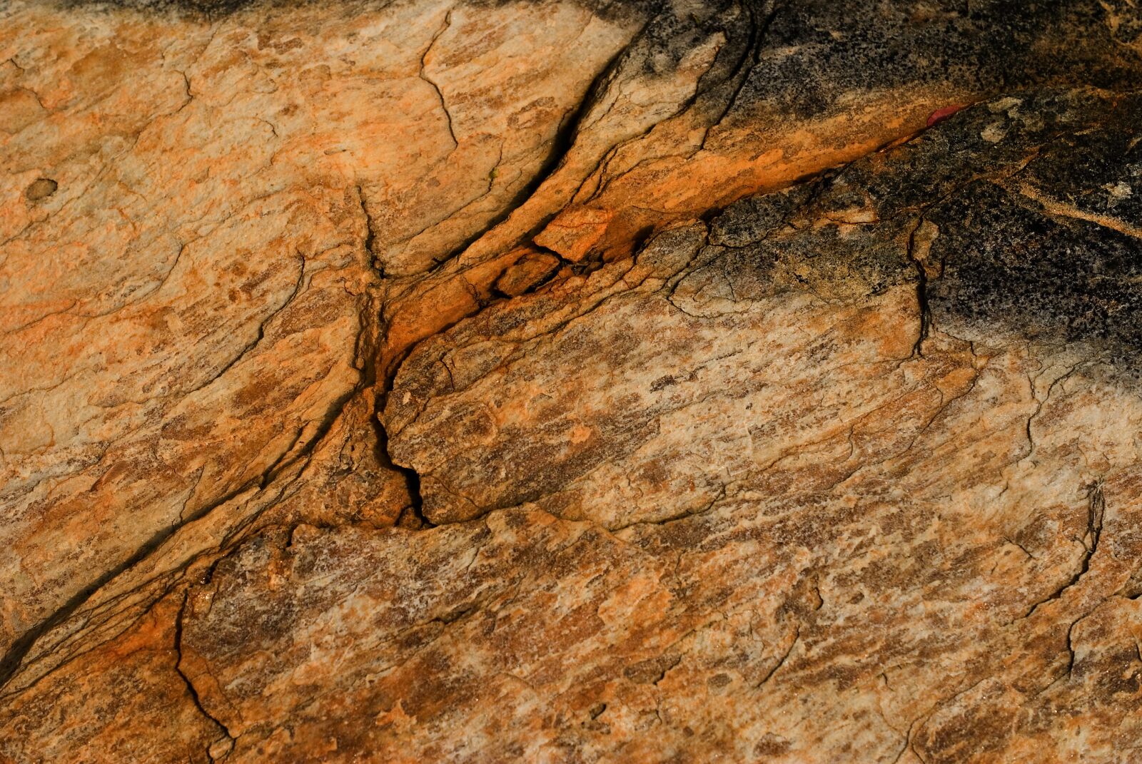 Sony Alpha DSLR-A100 sample photo. Background, rock, stone photography