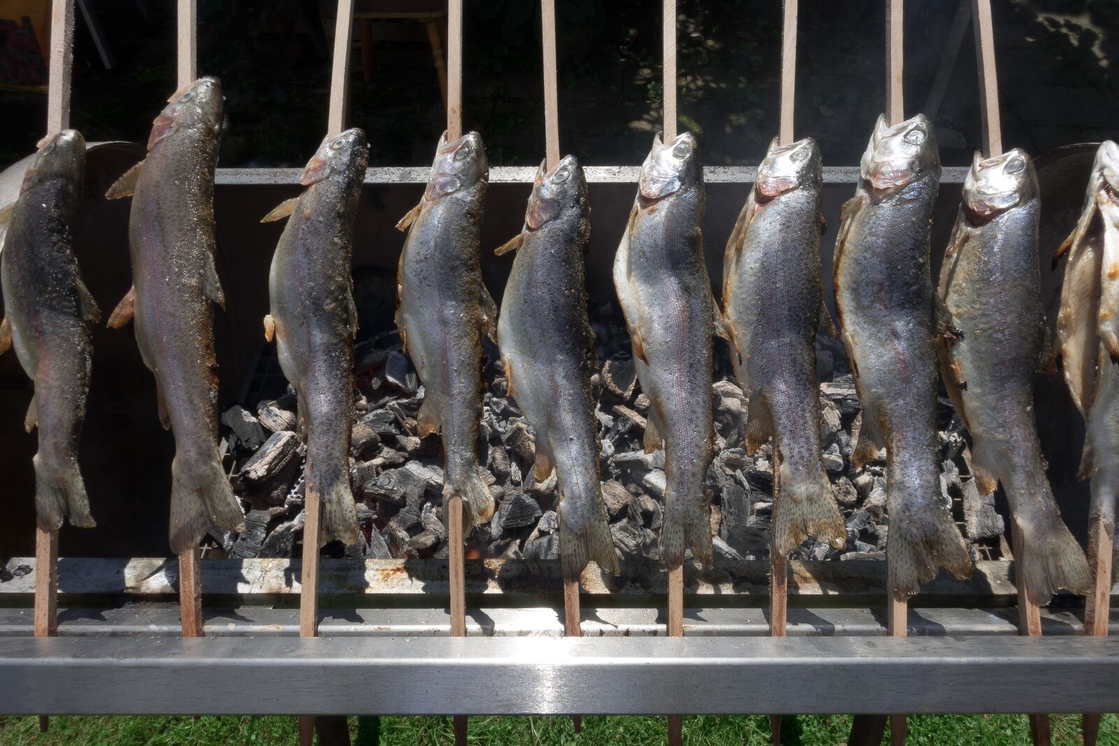 Sony Cyber-shot DSC-RX100 III sample photo. Trout, steckerlfisch, barbecue photography