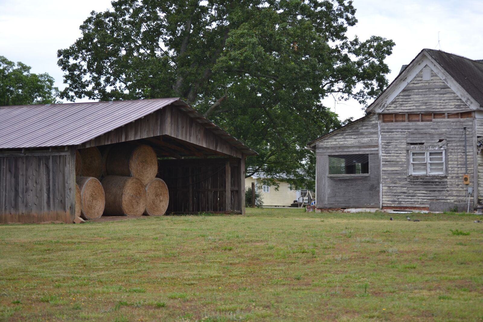 Nikon D3100 sample photo. Weathered, farm, rural photography