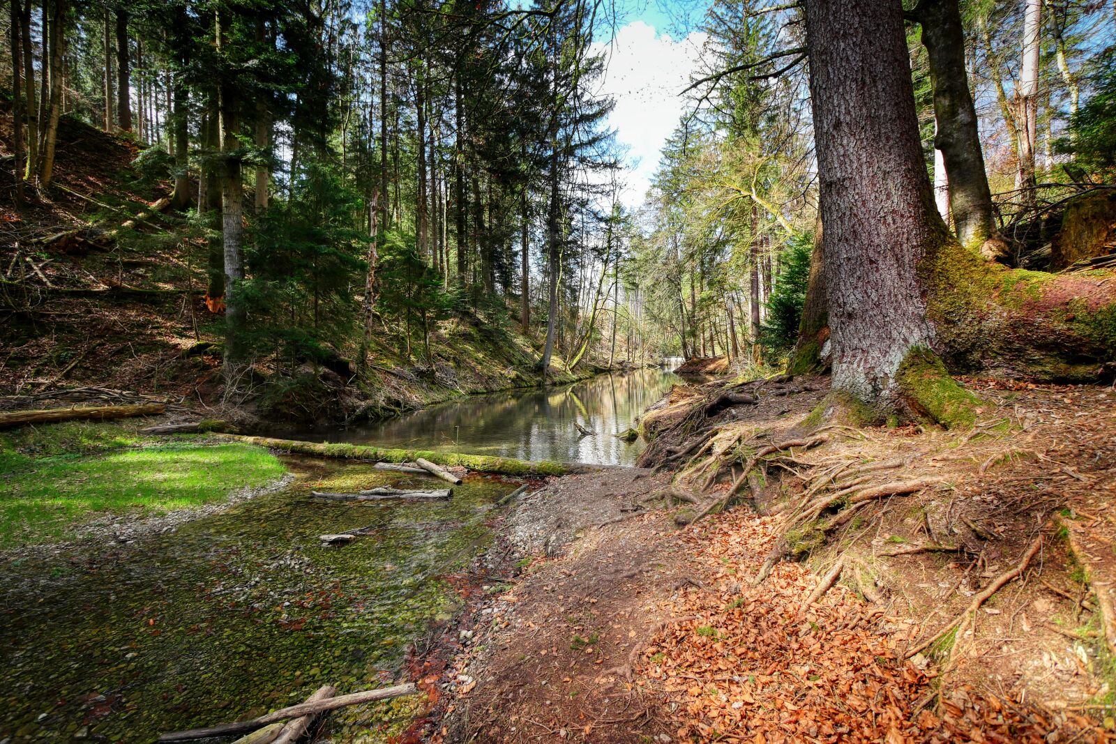 Panasonic Lumix DMC-GX8 sample photo. Stream bed, river, water photography