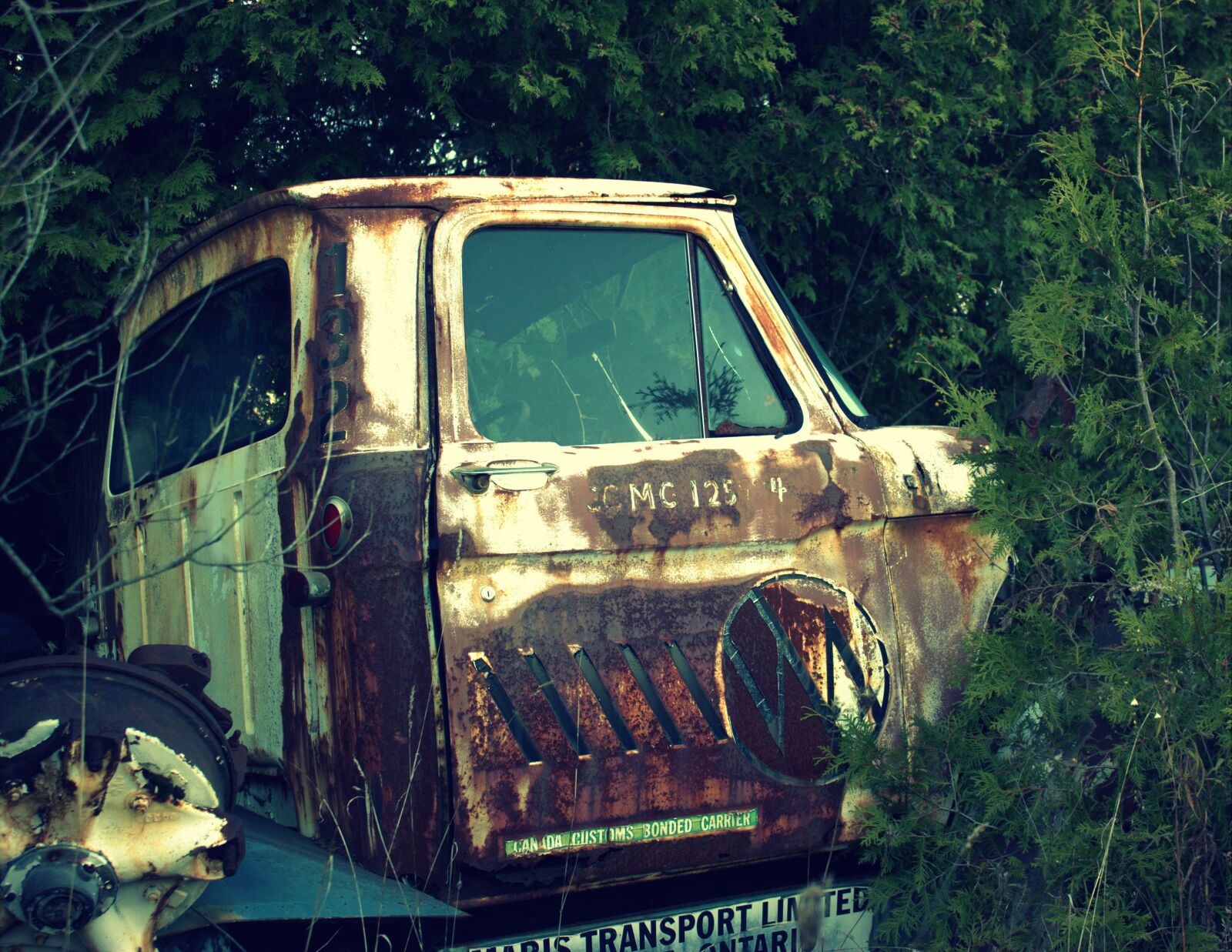 Canon EOS 600D (Rebel EOS T3i / EOS Kiss X5) sample photo. Salvage yard, car, wreck photography
