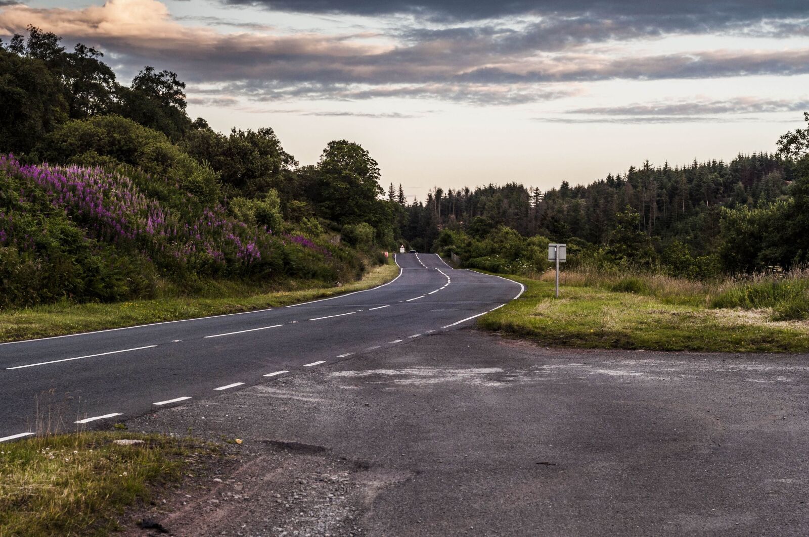 Nikon D90 sample photo. Highway, road, asphalt photography