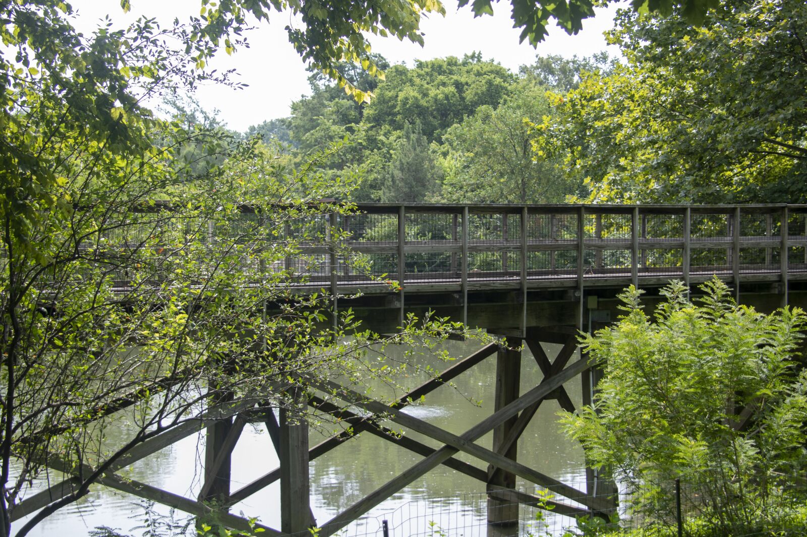 Nikon D850 sample photo. Bridge, water, architecture photography
