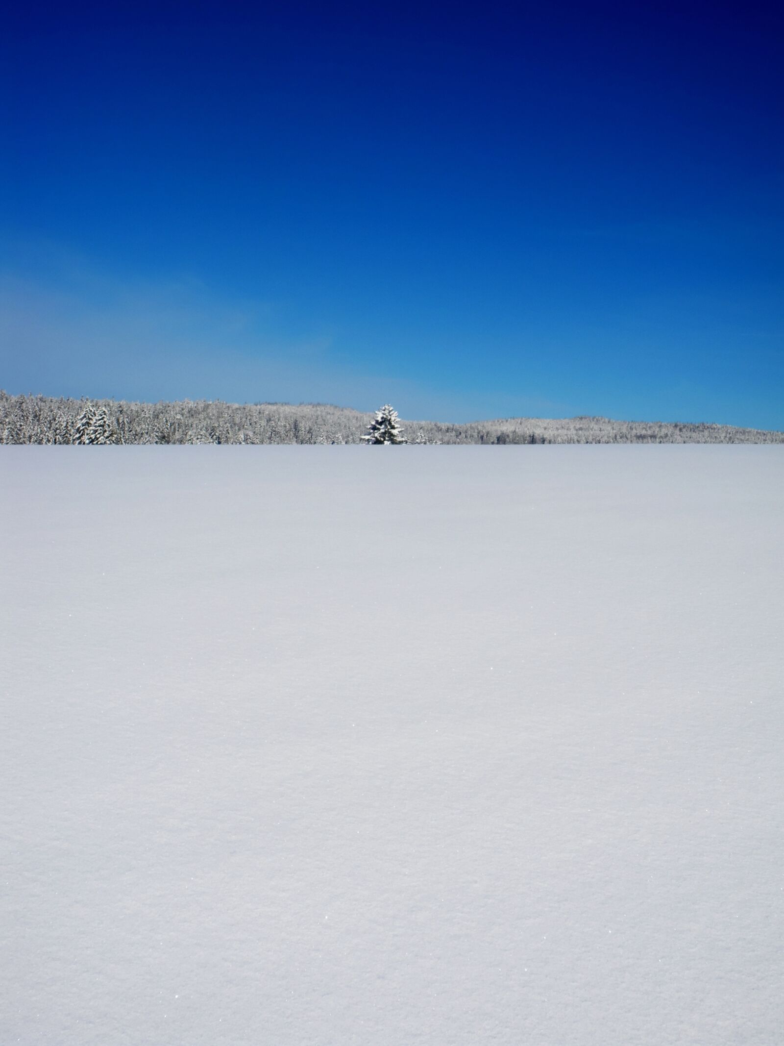 Pentax Optio M60 sample photo. Winter, landscape, nature photography