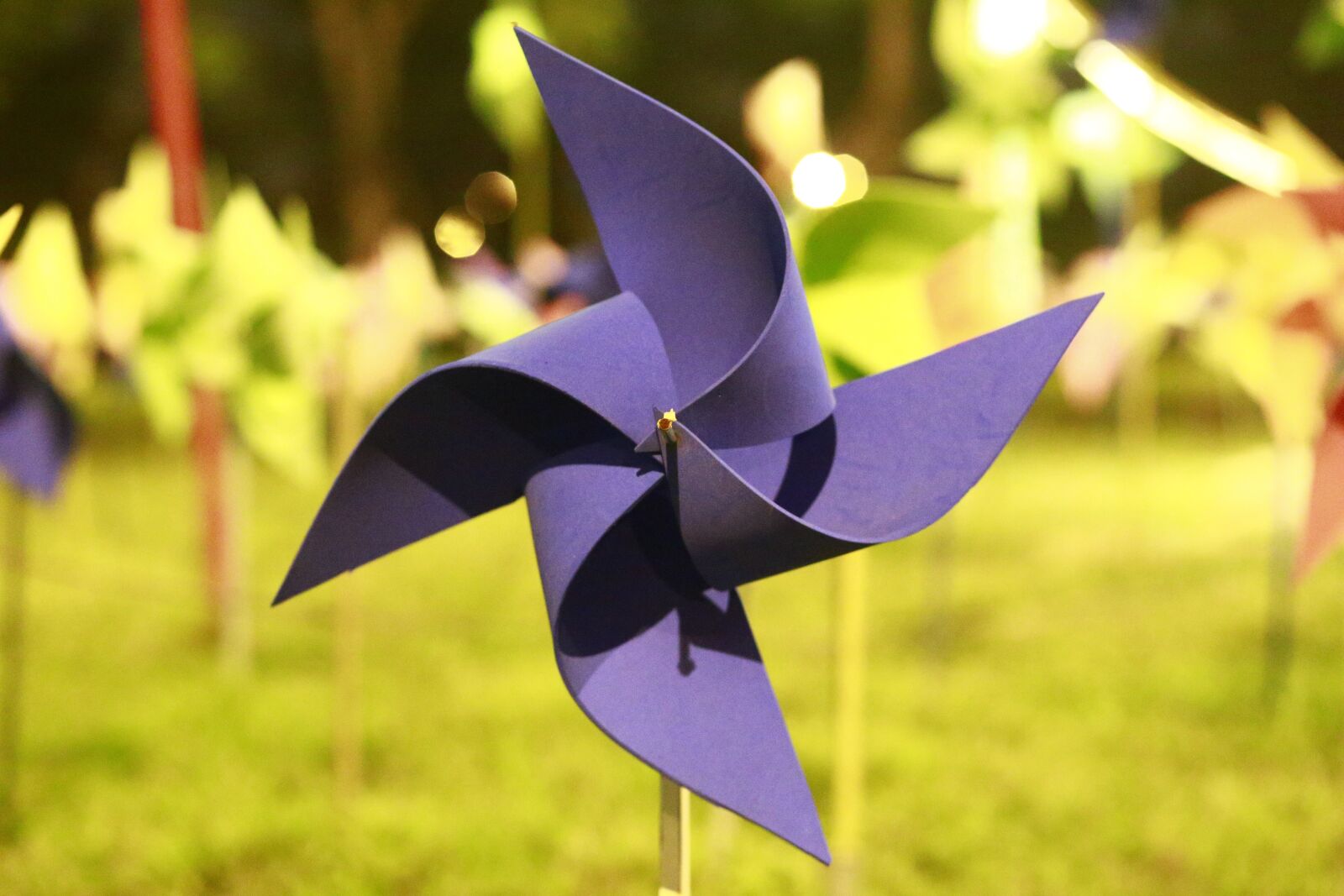 Canon EF 85mm F1.8 USM sample photo. Pinwheel, pretty, highlights photography