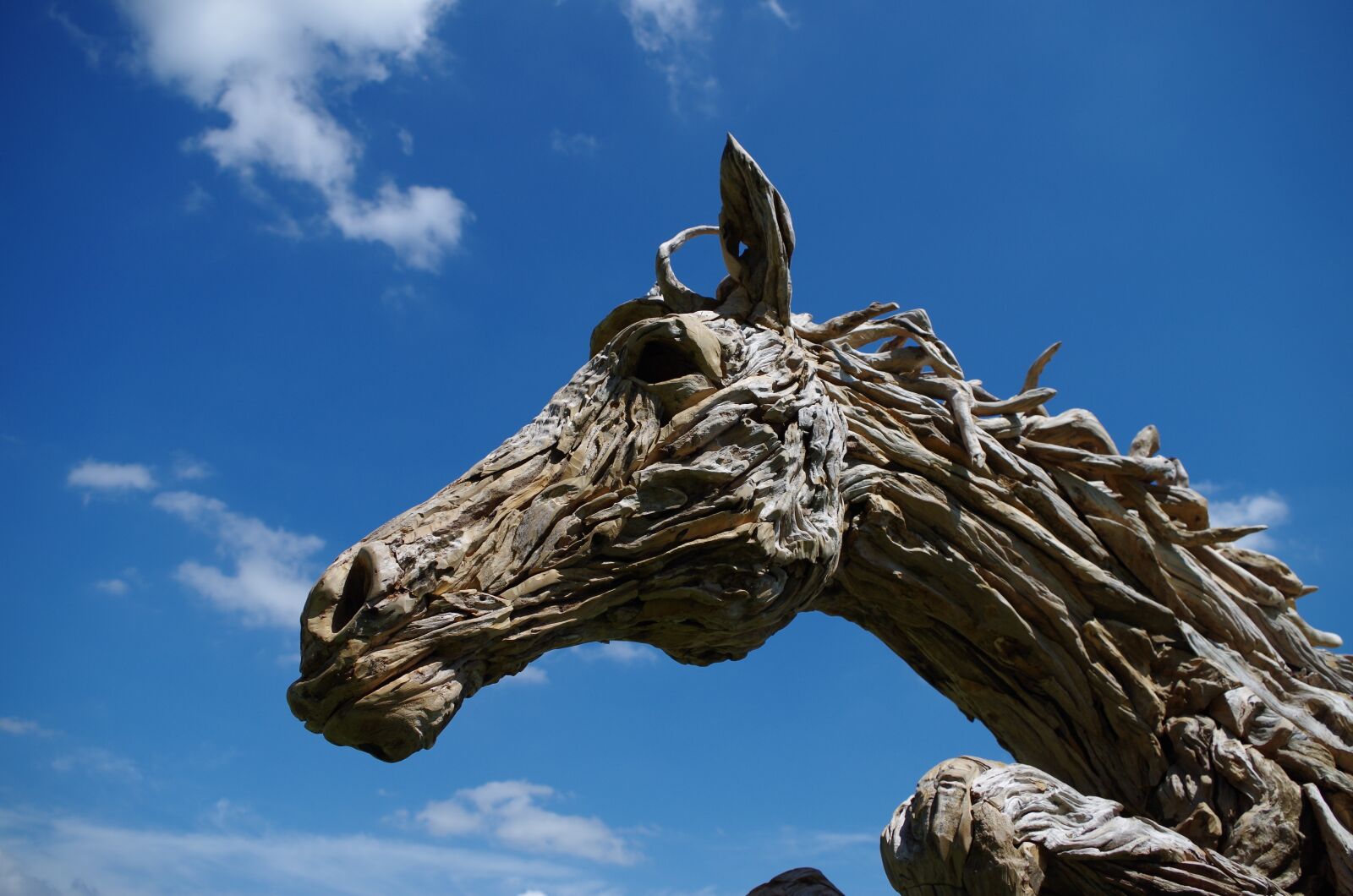 Pentax K-30 sample photo. Horse, sky, wood photography