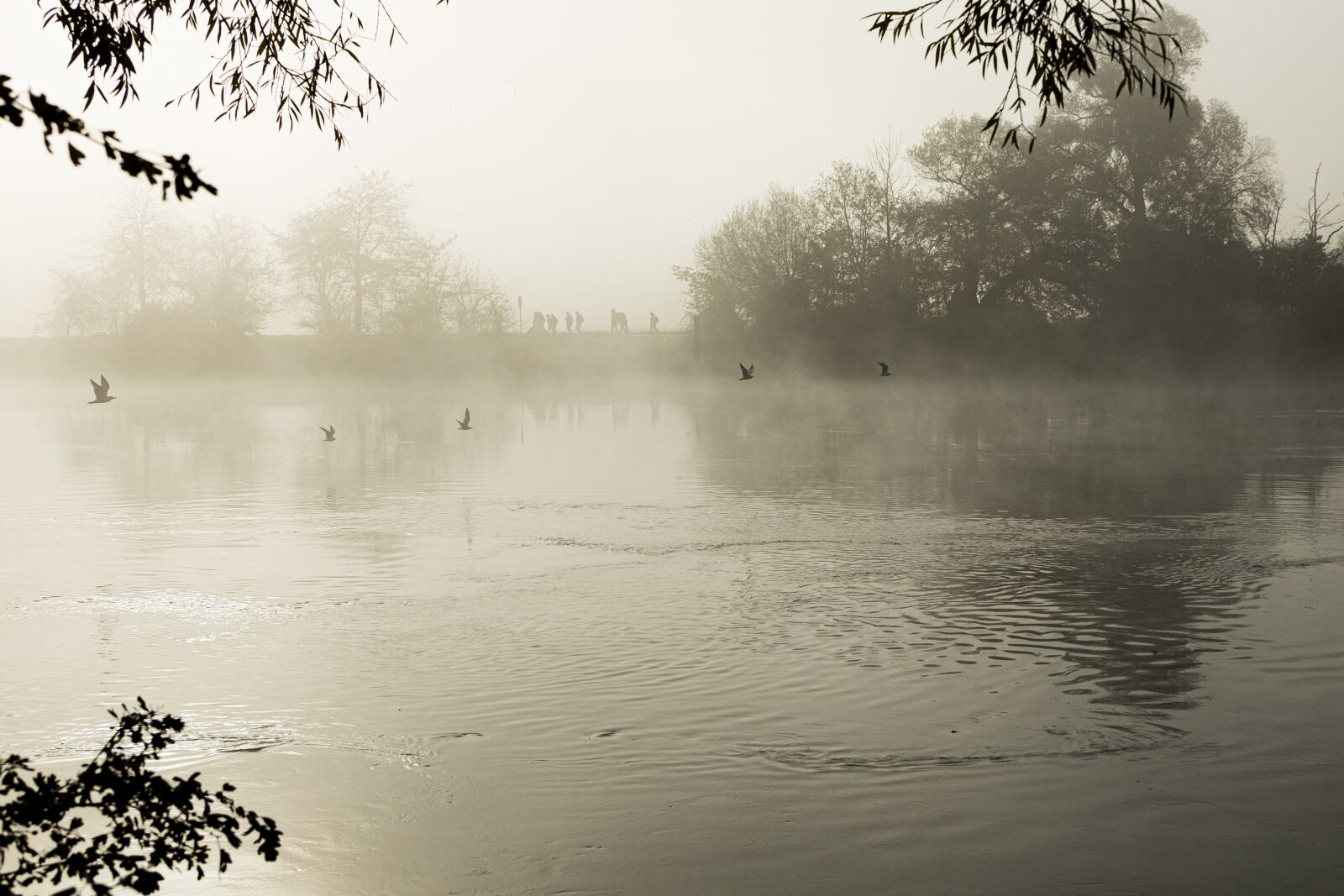 Canon EOS R sample photo. Fog, morning, hike photography