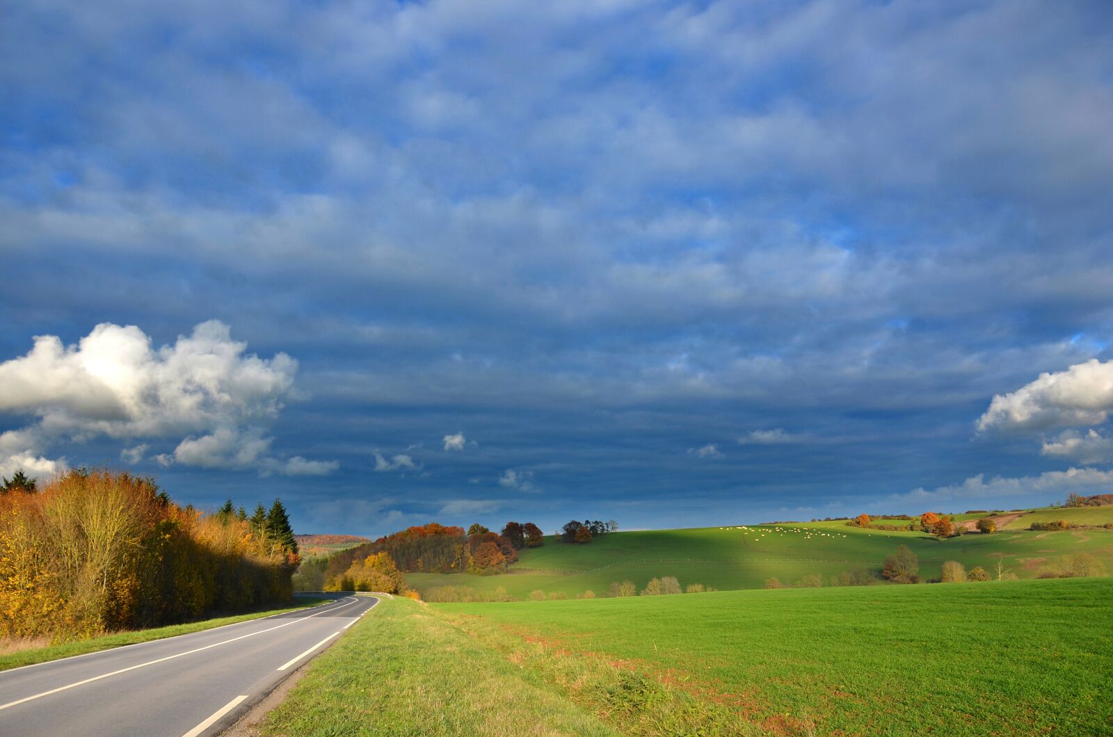 Nikon D5100 sample photo. Countryside, pasture, agriculture photography