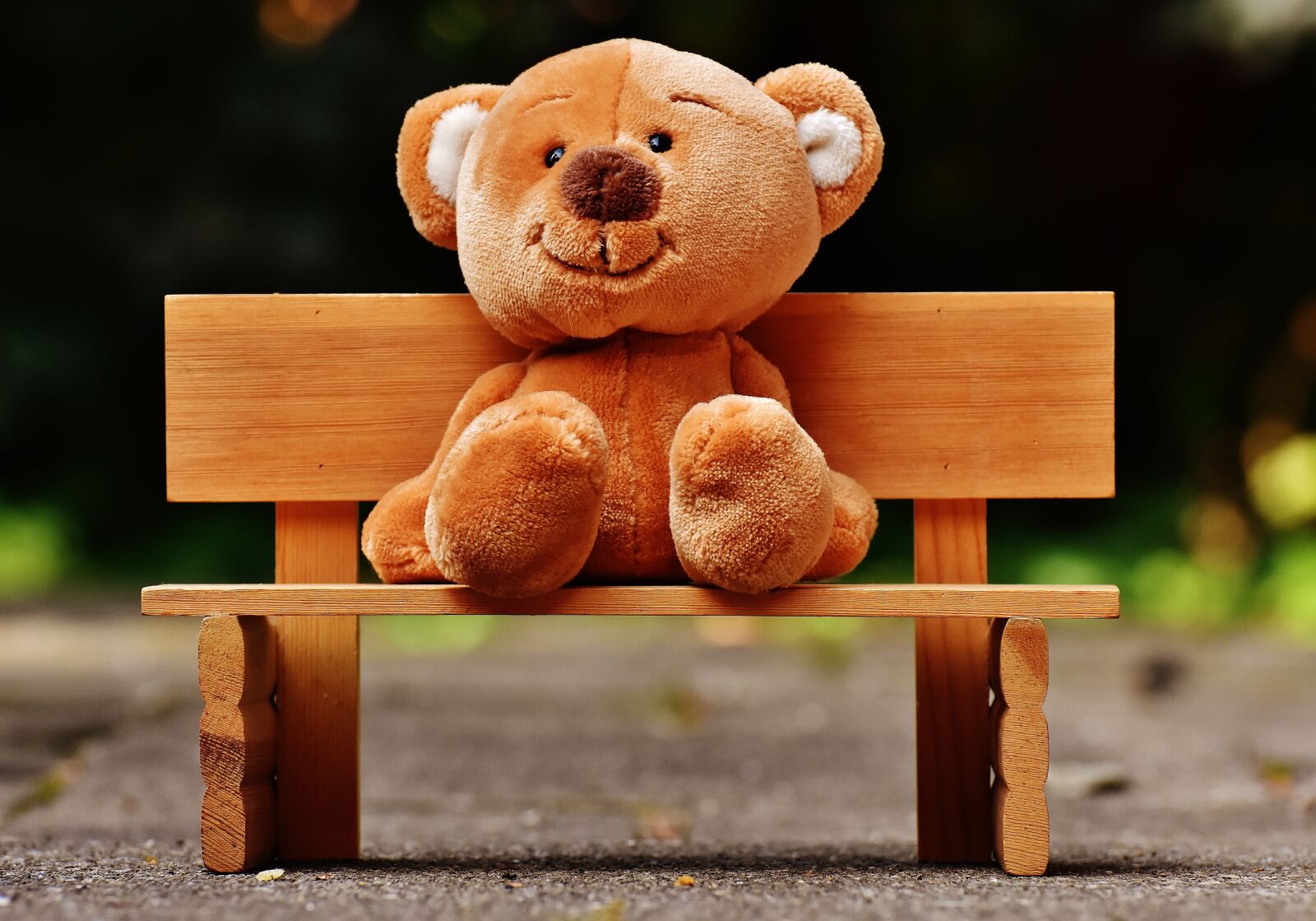 Nikon D7200 sample photo. Teddy, bank, sit photography