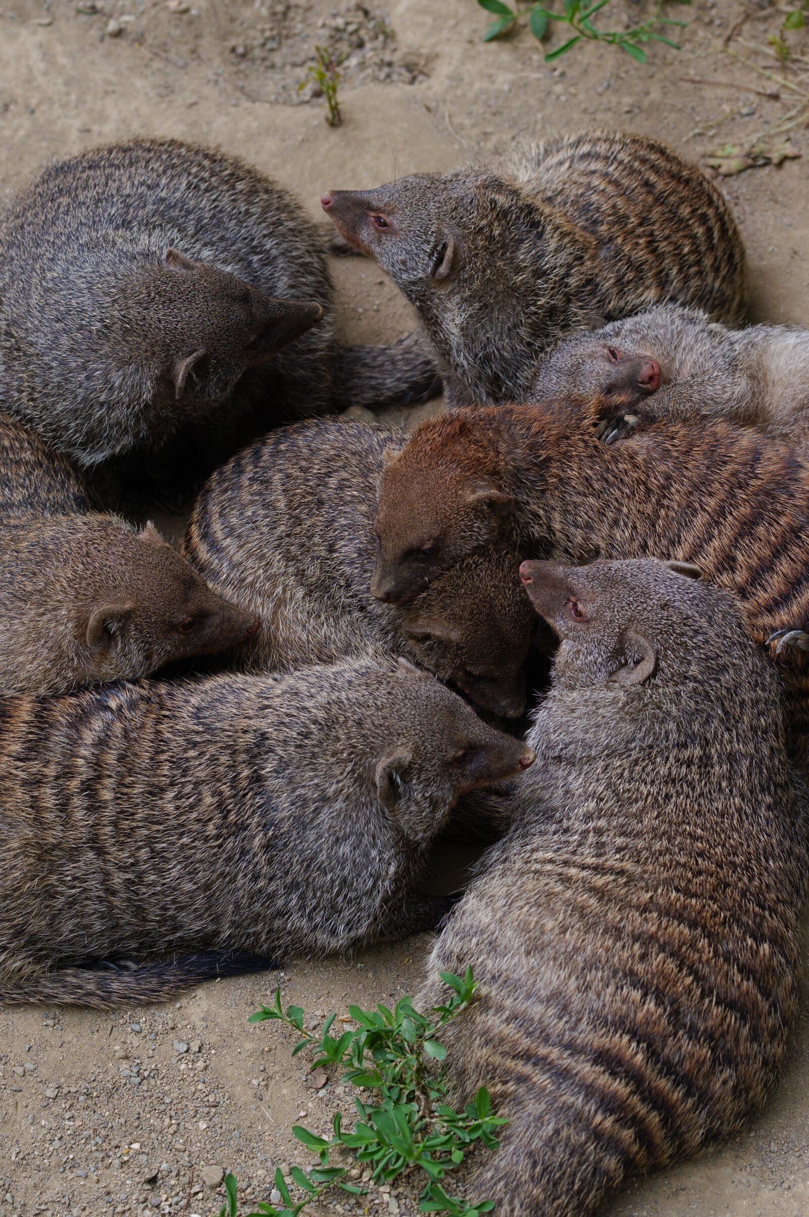 Nikon Z6 sample photo