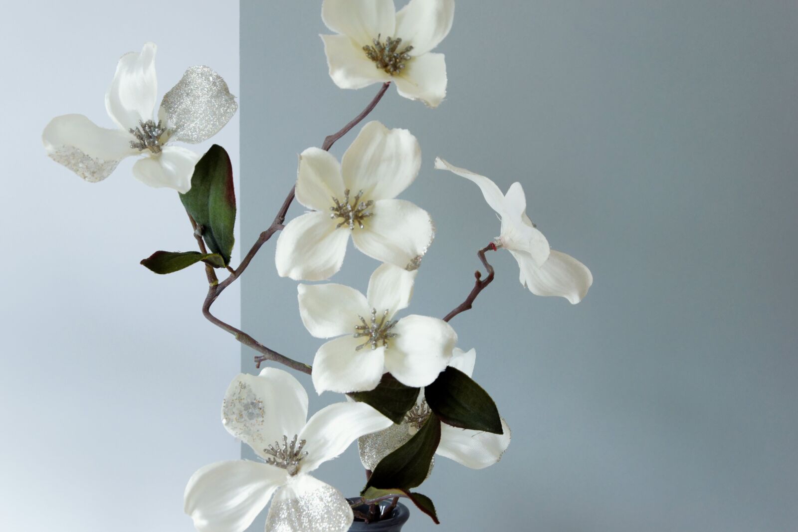 Nikon D5300 sample photo. Blossom, bloom, deco photography