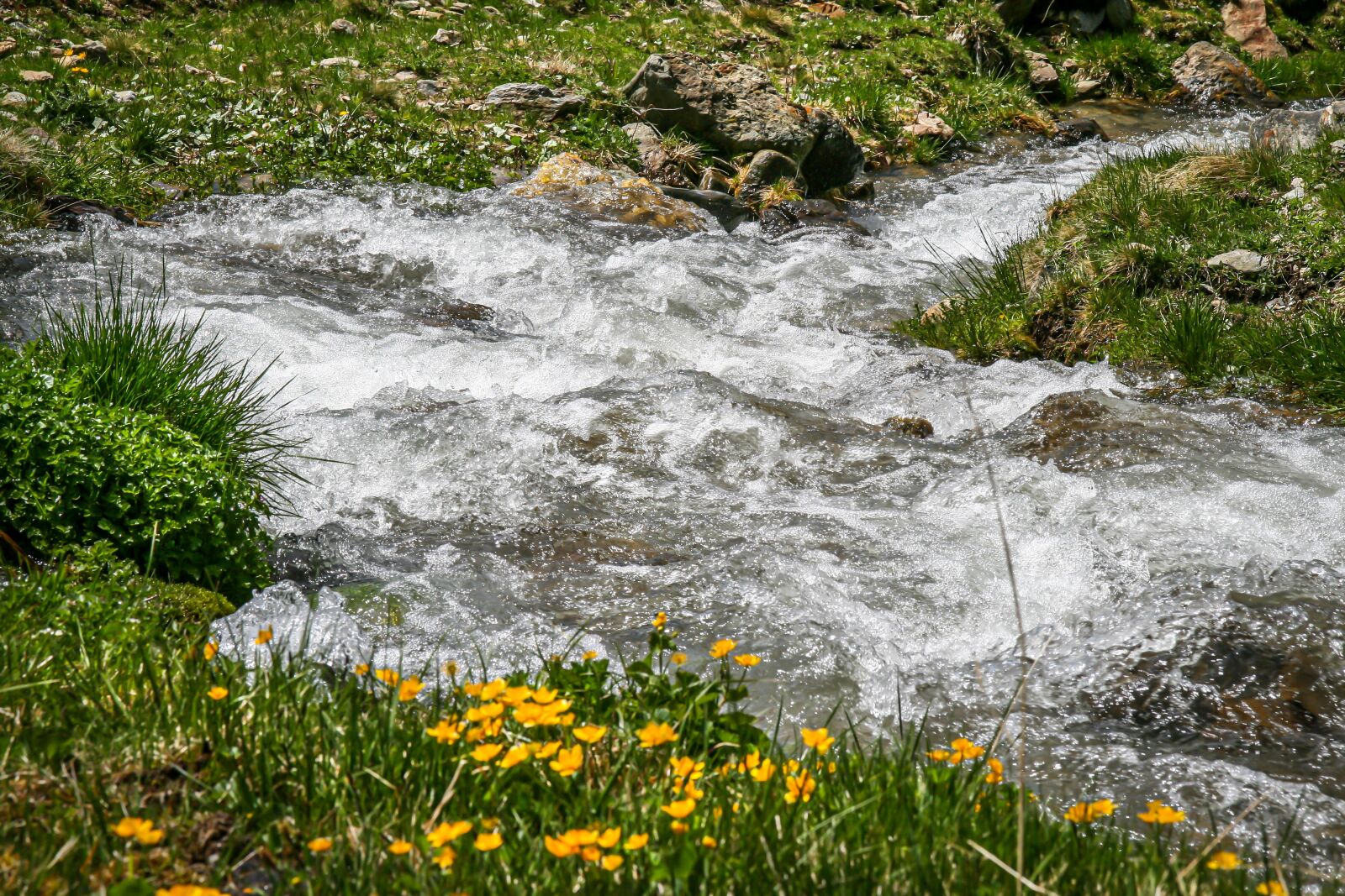 Canon EOS 400D (EOS Digital Rebel XTi / EOS Kiss Digital X) sample photo. Bach, water, river photography