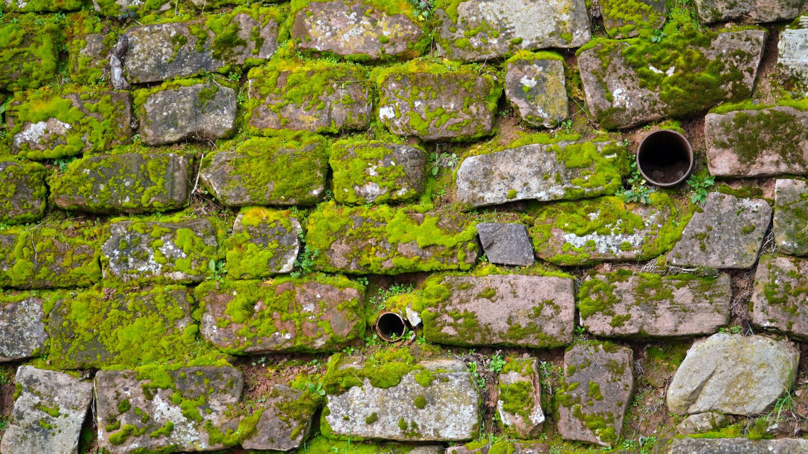 Sony E PZ 18-105mm F4 G OSS sample photo. Wall, sand stone, moss photography