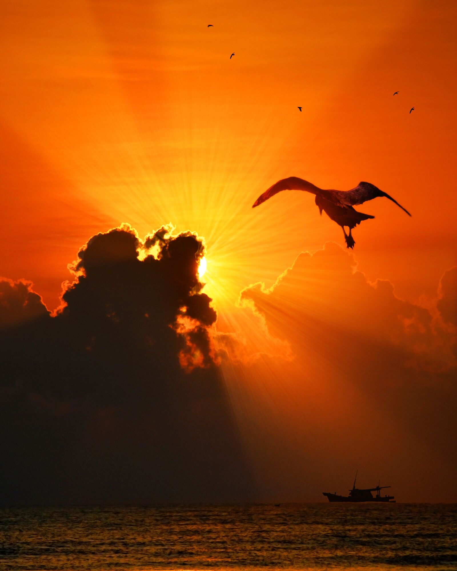 Nikon D7000 sample photo. Sea, bird, sunset photography