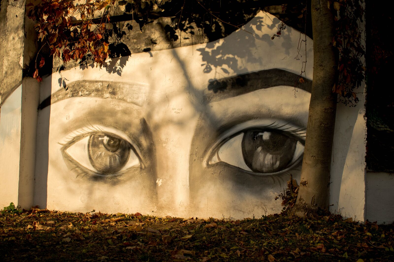 Nikon D3300 sample photo. Zhitomir, street art, eyes photography