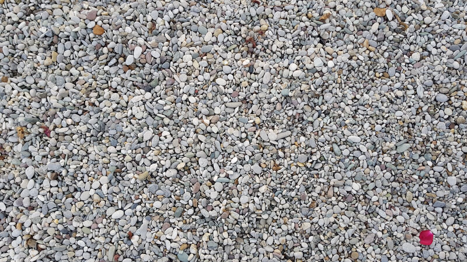 Samsung Galaxy S8 sample photo. Stones, beach, summer photography