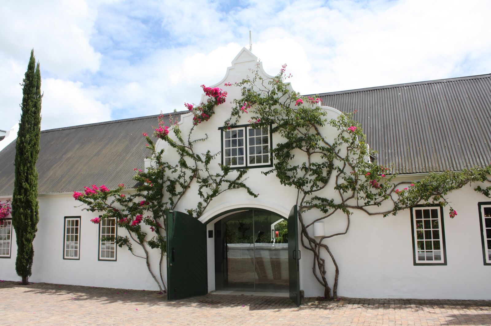 Canon EOS 450D (EOS Rebel XSi / EOS Kiss X2) sample photo. South africa, winery, input photography