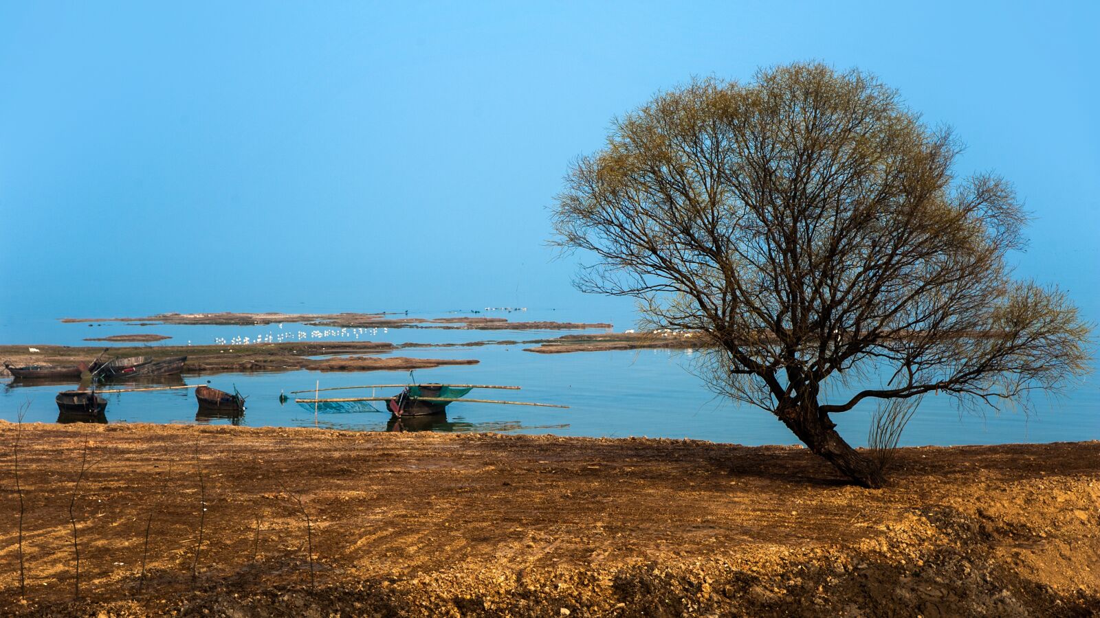 Nikon D700 sample photo. Countryside, wetlands, natural photography