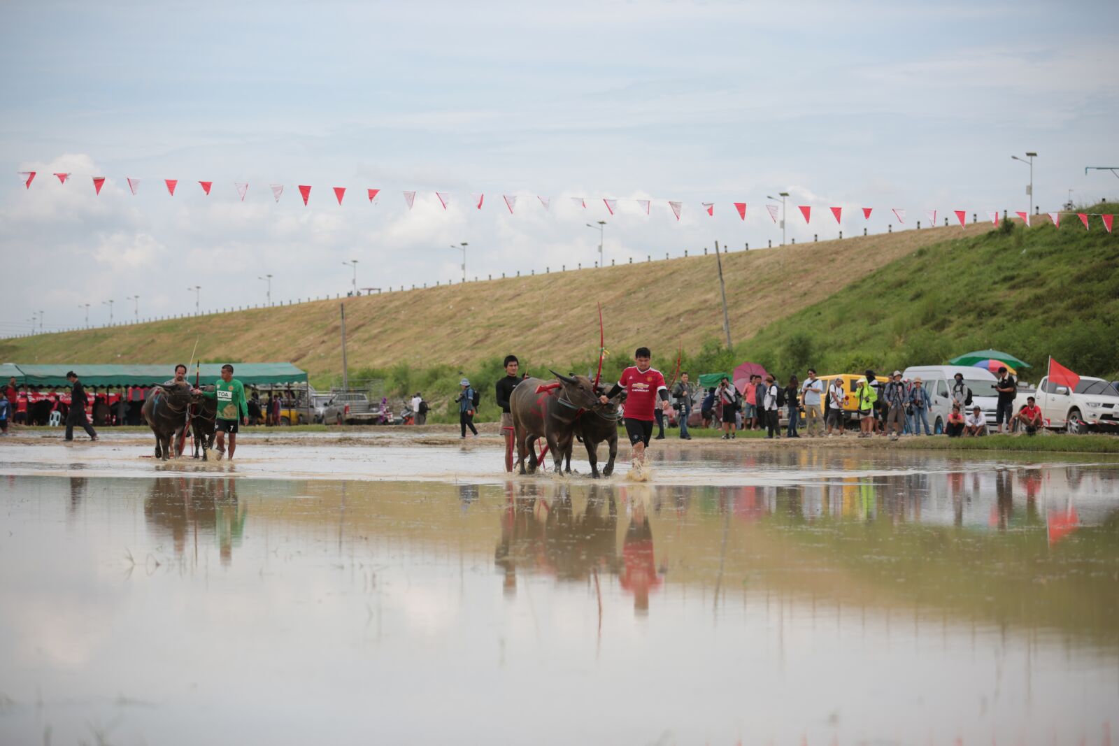 Canon EOS 5D Mark III sample photo. Buffalo, festival, animal photography
