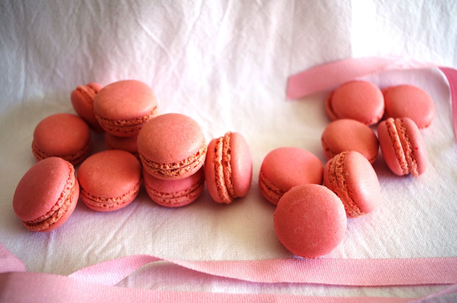 Pentax K-50 sample photo. Macaron, pink, rosa photography