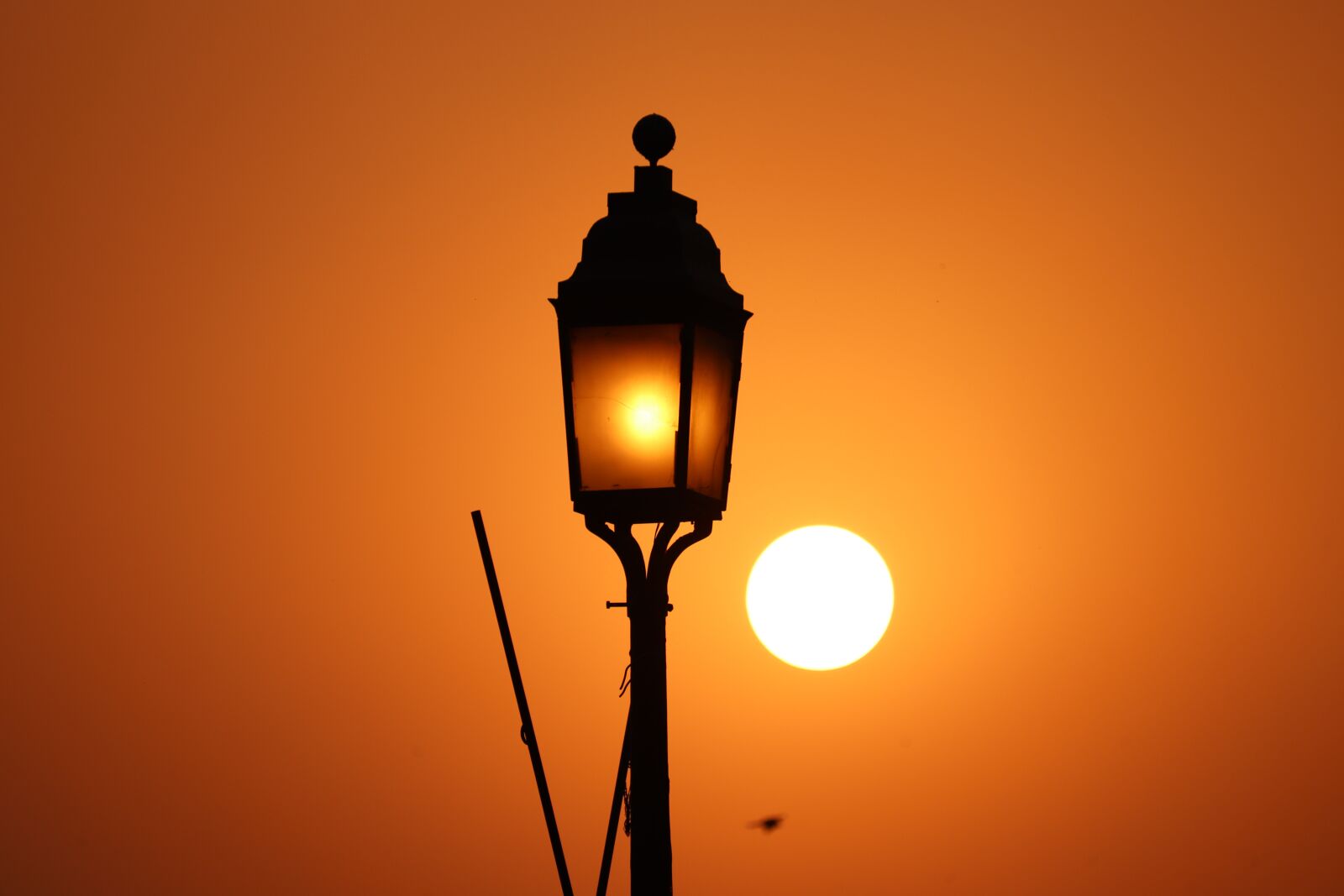 Canon EOS 200D (EOS Rebel SL2 / EOS Kiss X9) sample photo. Delhi, india gate, heritage photography