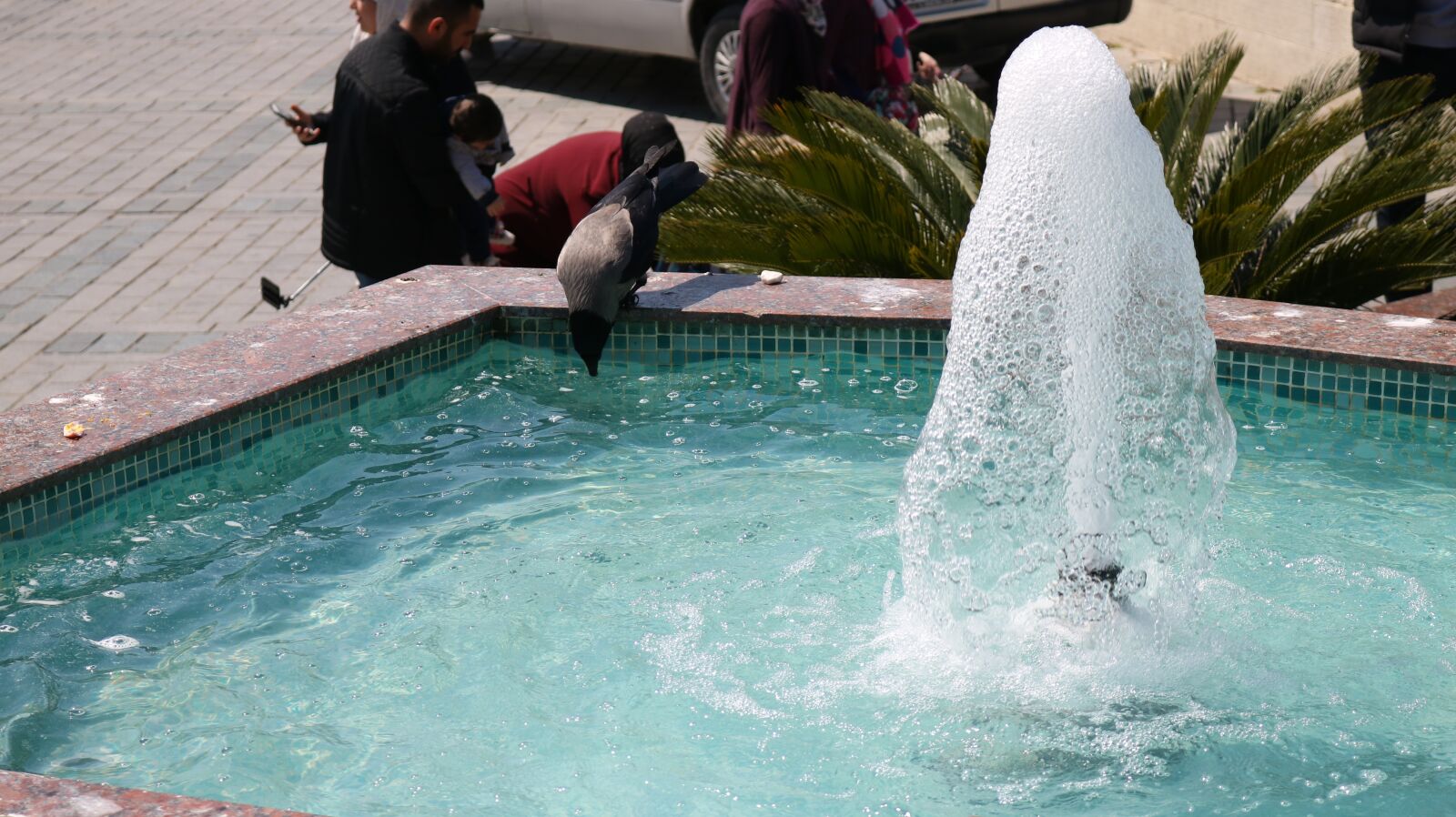 Canon EOS 750D (EOS Rebel T6i / EOS Kiss X8i) sample photo. Body of water, swimming photography