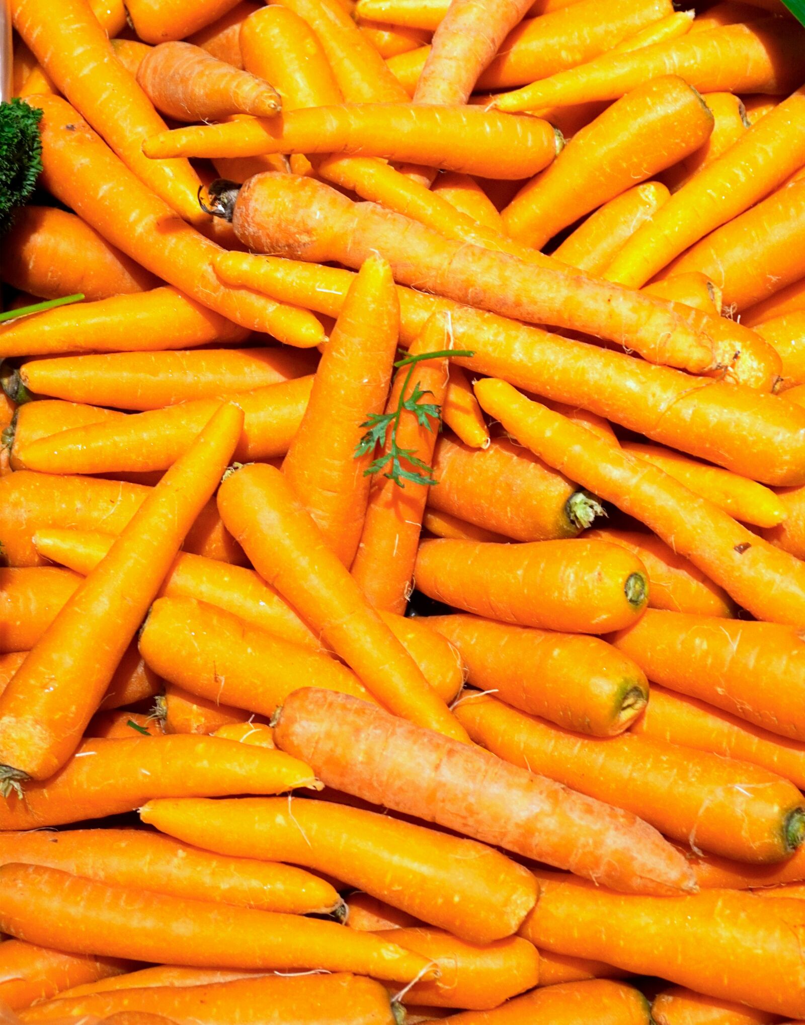 Sony Alpha a5000 (ILCE 5000) sample photo. Carrots, vegetables, healthy photography