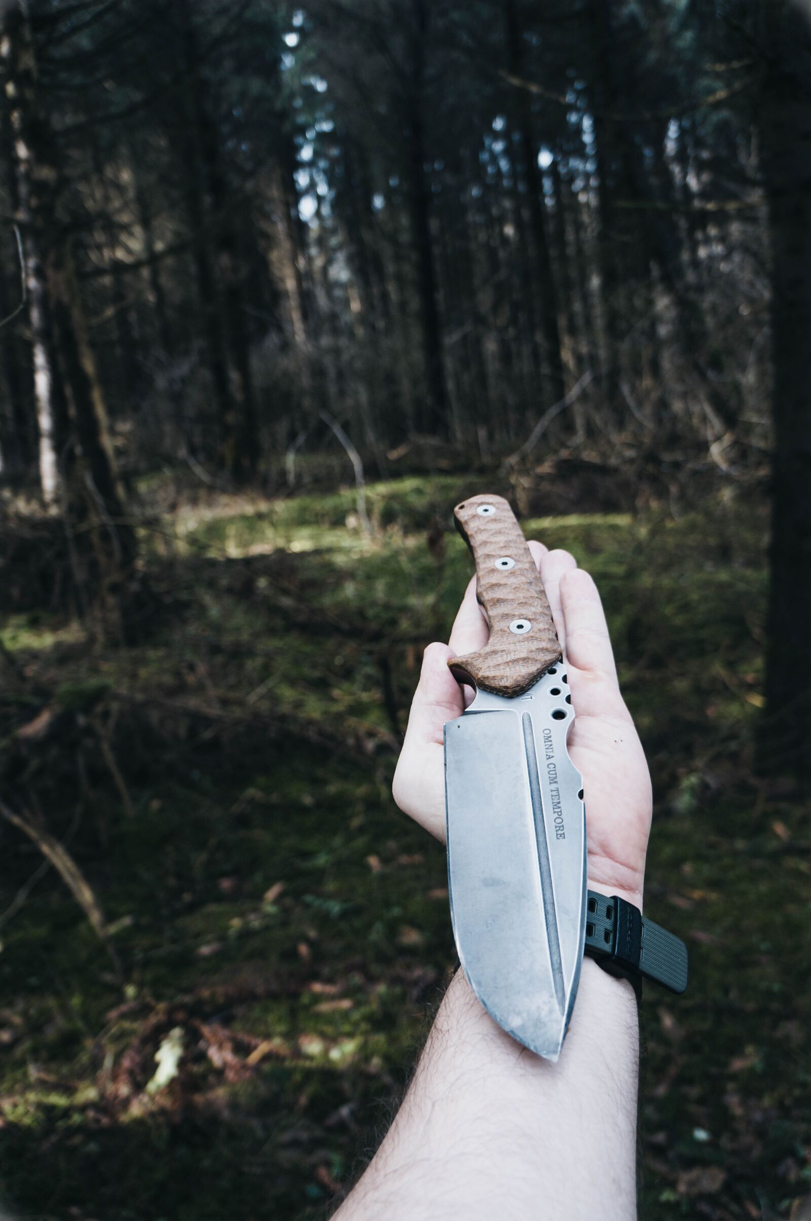 Sony Alpha NEX-3N + Sony E 18-55mm F3.5-5.6 OSS sample photo. Knife, nature, green photography