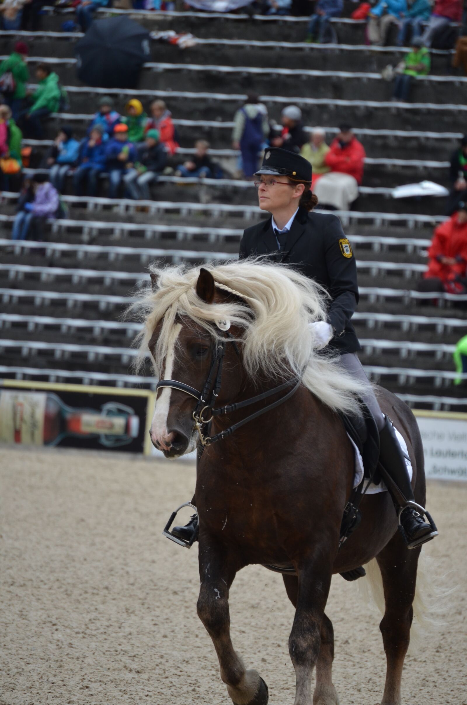 Nikon D5100 sample photo. Mane, stallion, kaltblut photography