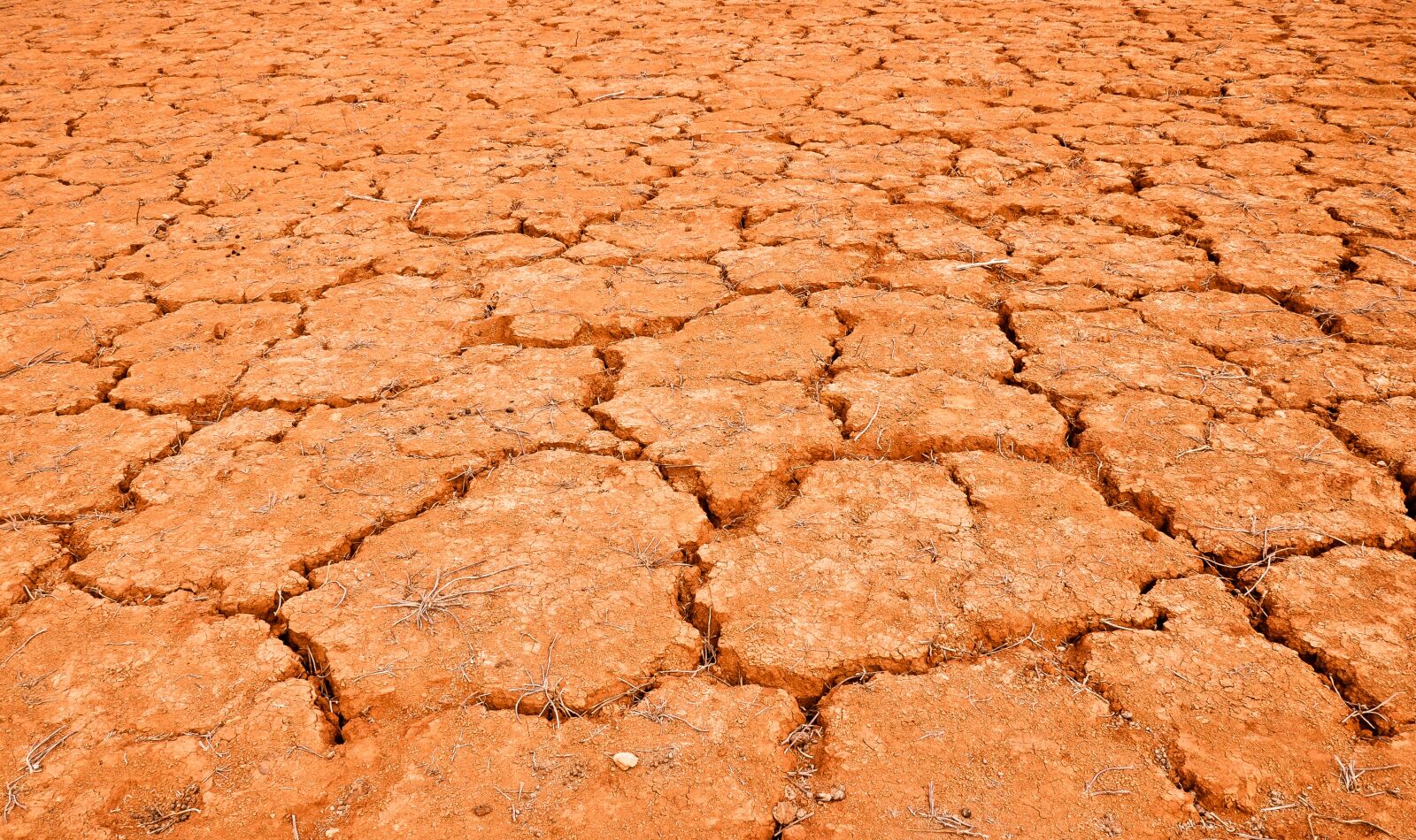 Nikon D5000 sample photo. Desert, mud, dry photography