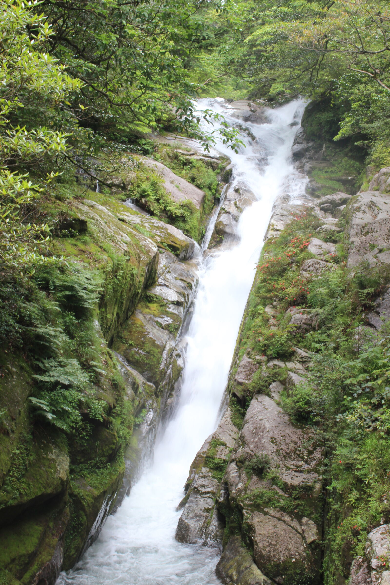 Canon EOS 600D (Rebel EOS T3i / EOS Kiss X5) sample photo. Falls photography