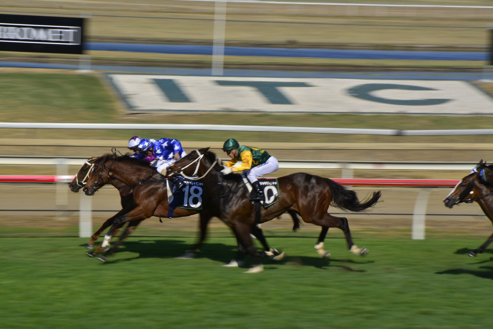 Nikon D5200 sample photo. Horseracing, turf, horse photography