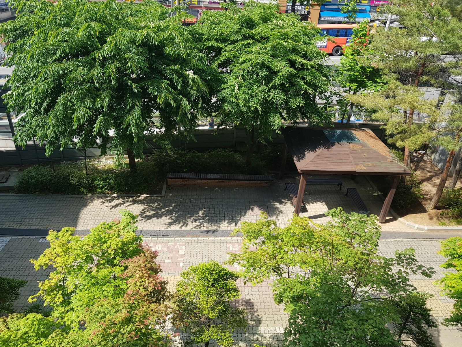 Samsung Galaxy S8+ sample photo. Park, trees, green photography