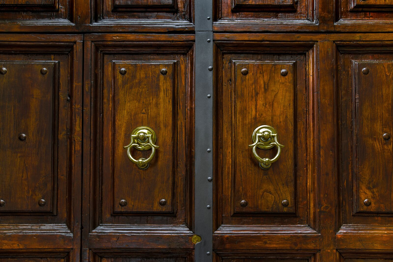 Pentax K-1 Mark II sample photo. Door, wood, ring photography