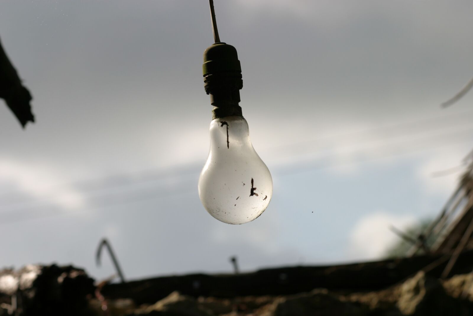 Canon EOS 10D sample photo. Lightbulb, neglect, creativity photography