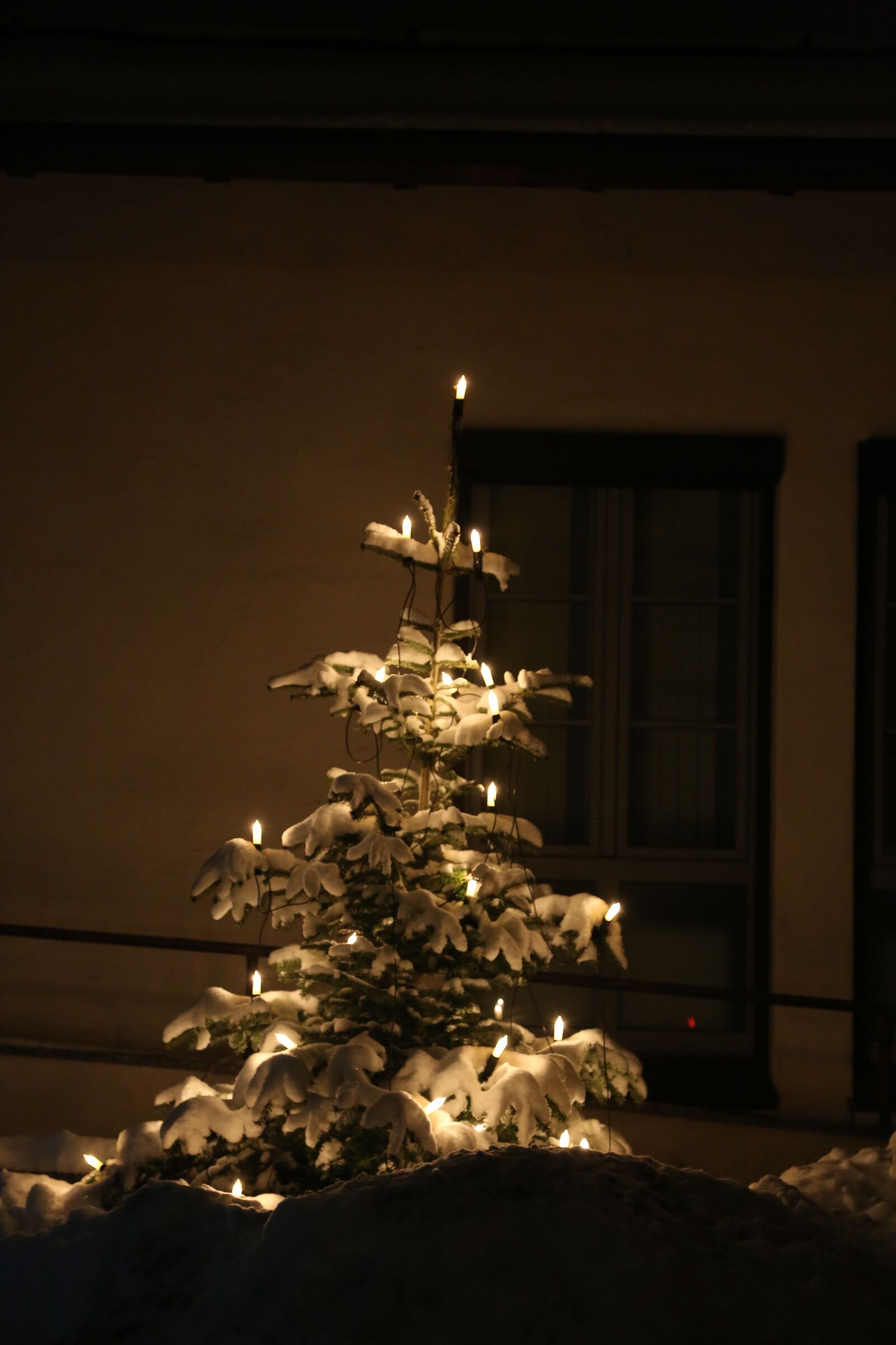 Canon EF 24-105mm F4L IS USM sample photo. Winter, christmas lights, christmas photography