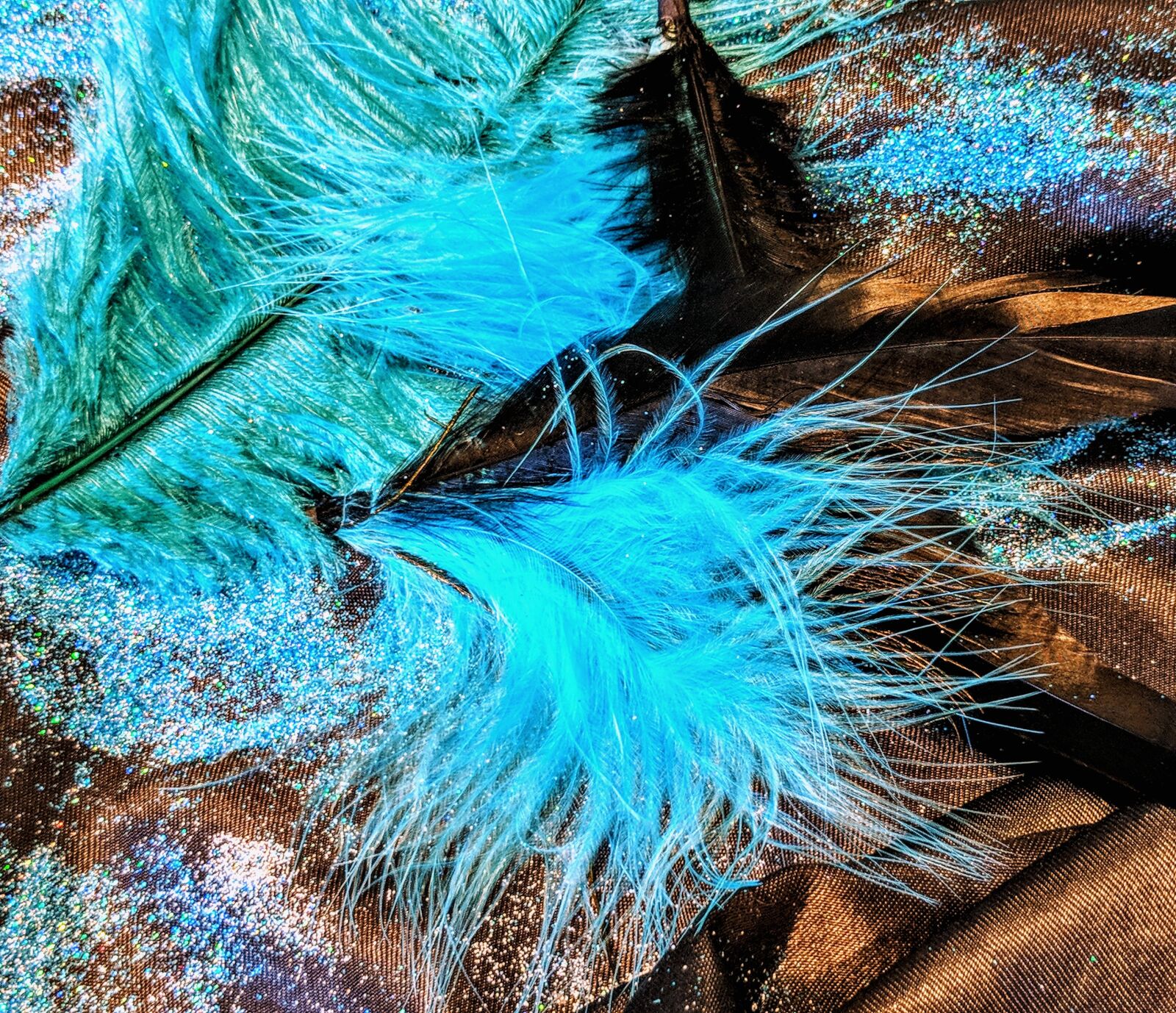 Google Pixel 2 sample photo. Feather, nature, color photography